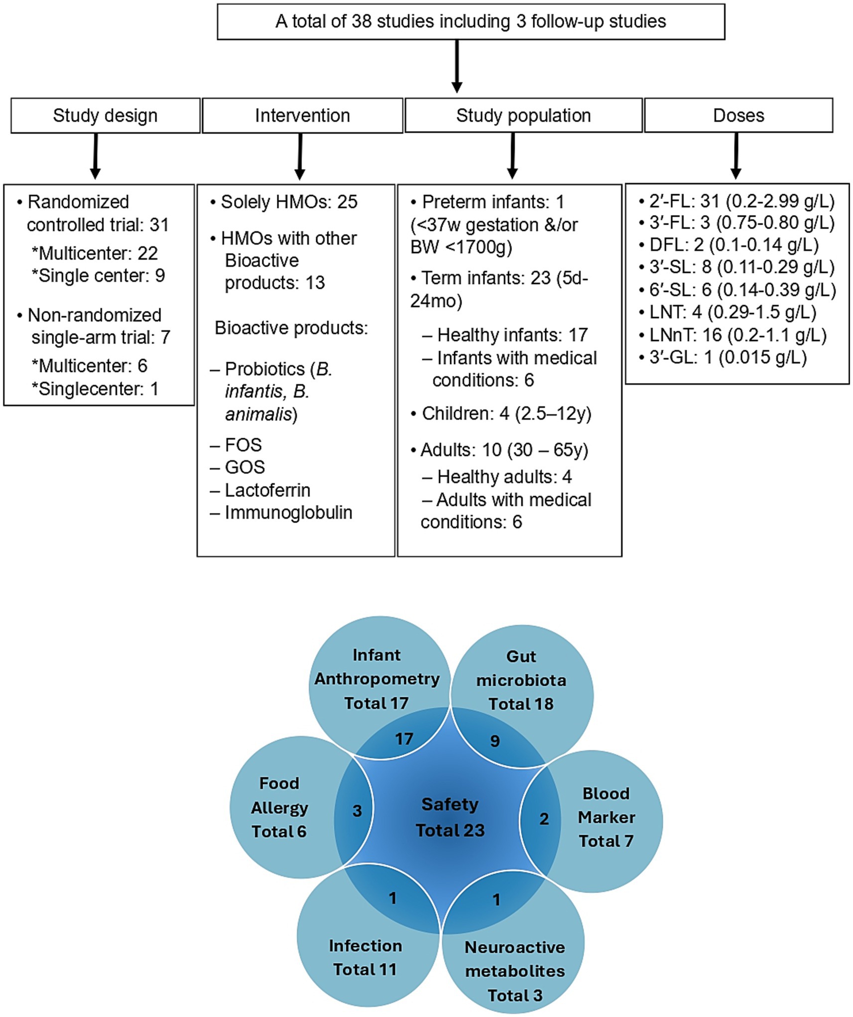 Flowchart summarizing 38 studies with 3 follow-up studies on HMOs. Study design: 31 randomized, 7 non-randomized; interventions include HMOs solely or with bioactive products like probiotics. Populations: preterm infants to adults. Doses range from 0.015 to 2.99 grams per liter. A Venn diagram below shows safety assessments across categories: infant anthropometry (17), gut microbiota (18), blood markers (7), food allergy (6), infections (11), and neuroactive metabolites (3), with a total of 23 safety studies.