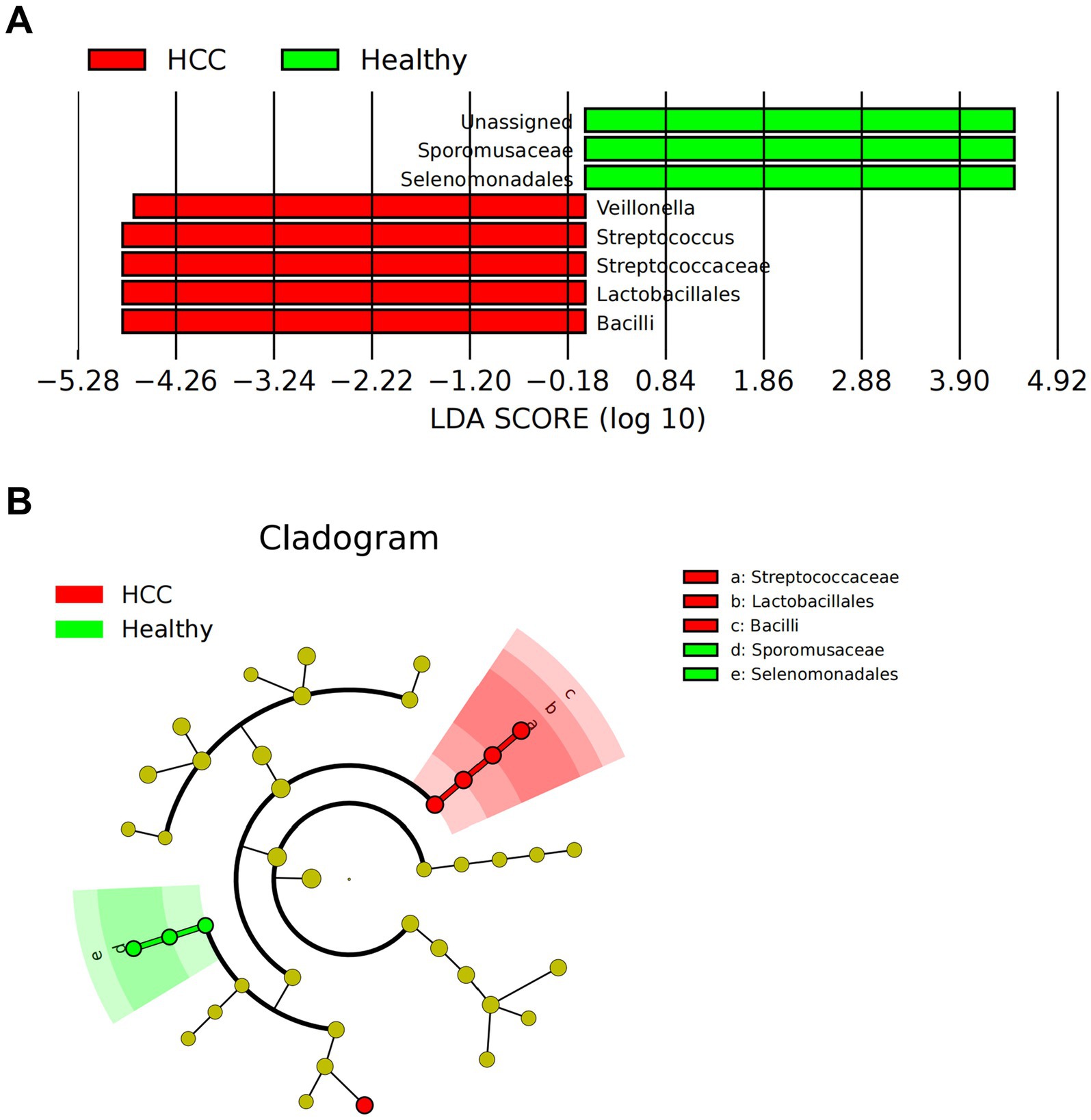 Bar chart and cladogram of microbiome analysis comparing HCC and healthy subjects. Part A shows LDA scores, with red for HCC and green for healthy, displaying differences in microbial families. Part B is a cladogram indicating relationships among microbial taxa, color-coded similarly, with labels a to e representing different taxa.