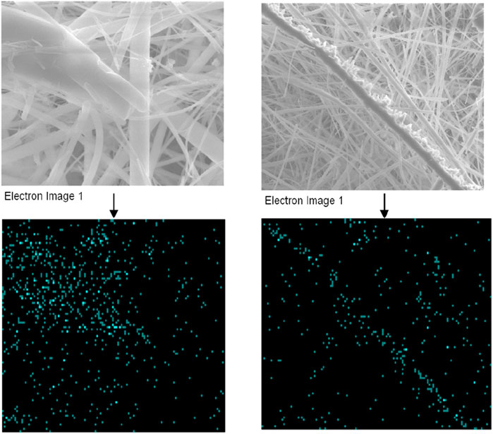 SEM images of fibrous structures are shown in the top panels, with dense interwoven strands on the left and a detailed surface on the right. The bottom panels display corresponding data plots with cyan dots on a black background, indicating specific data points related to the electron images.