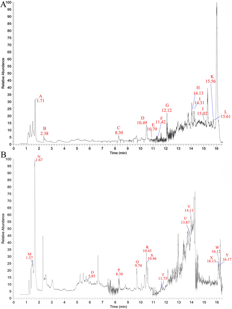 Two chromatograms labeled A and B show relative abundance over time in minutes. Peaks are marked with red labels indicating various time points: A at 1.71, B at 2.38, C at 8.30, etc., up to L at 15.61 in chromatogram A. Chromatogram B features similar markings from M at 1.57 to Y at 16.17. Both graphs display varying peak heights and positions, indicating different substance concentrations over time.