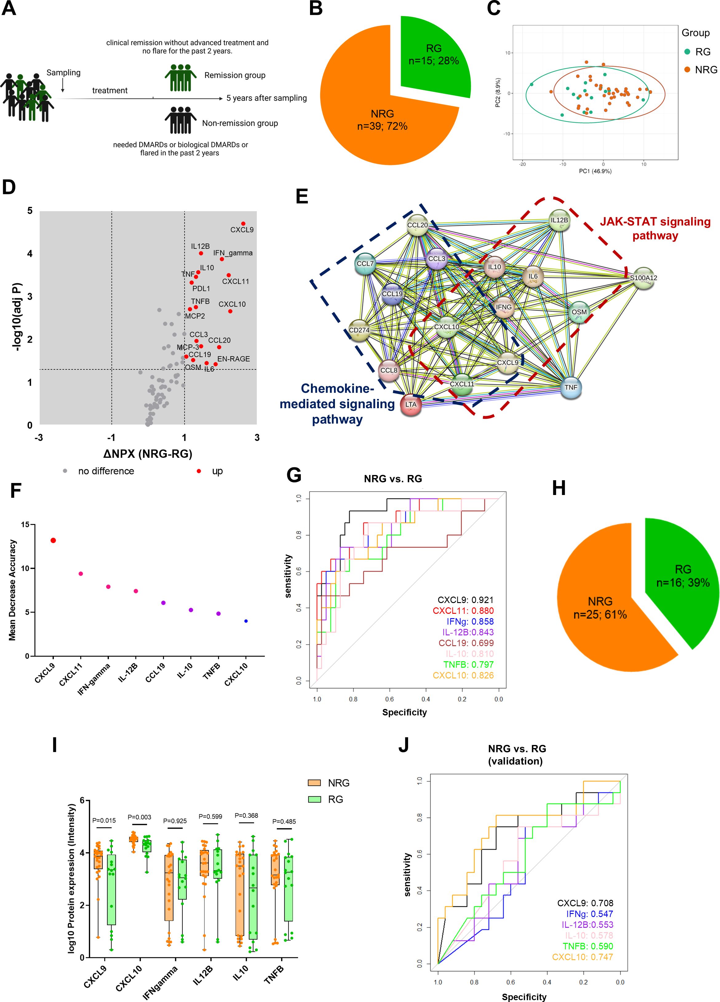 Diagram showing research data on remission and non-remission groups (RG and NRG). Panel A explains sampling and grouping. Panel B is a pie chart displaying RG (28%) and NRG (72%). Panel C is a PCA plot distinguishing groups. Panel D is a volcano plot highlighting significant proteins. Panel E shows a network of signaling pathways. Panel F displays a plot of factors impacting accuracy. Panel G is a ROC curve with protein specificity and sensitivity data. Panel H is a pie chart with RG (39%) and NRG (61%). Panel I presents protein expression box plots. Panel J includes a validation ROC curve.