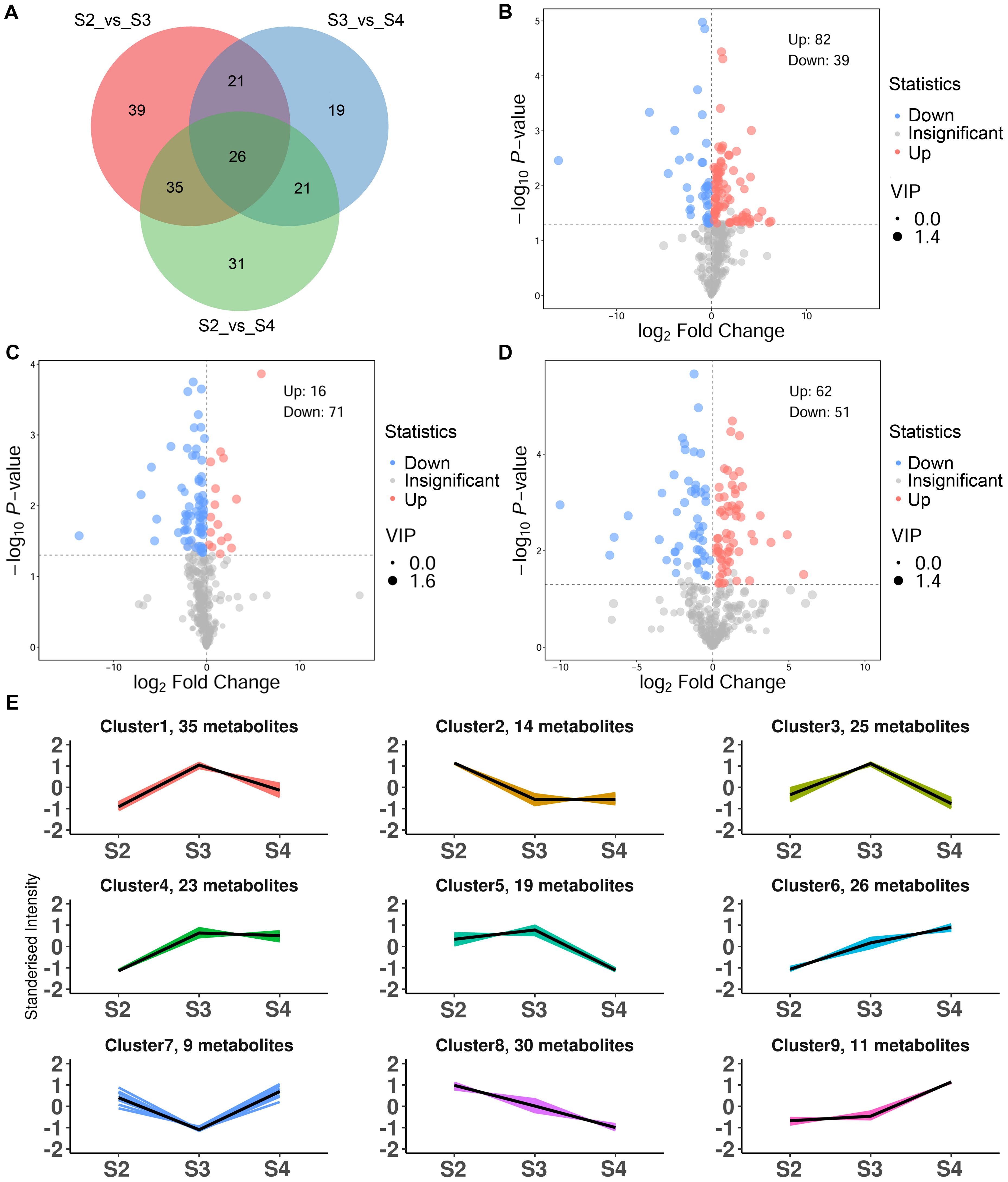 This image contains multiple panels. Panel A is a Venn diagram showing the overlap of metabolite changes across three comparisons: S2 vs. S3, S3 vs. S4, and S2 vs. S4. Panels B, C, and D are volcano plots illustrating the relationship between log2 fold change and negative log10 p-value, highlighting metabolites that are significantly up or downregulated, with the VIP score indicated by dot size. Panel E shows line graphs of standardized intensity for clusters with varying numbers of metabolites across stages S2, S3, and S4. Each cluster's trend is depicted separately.
