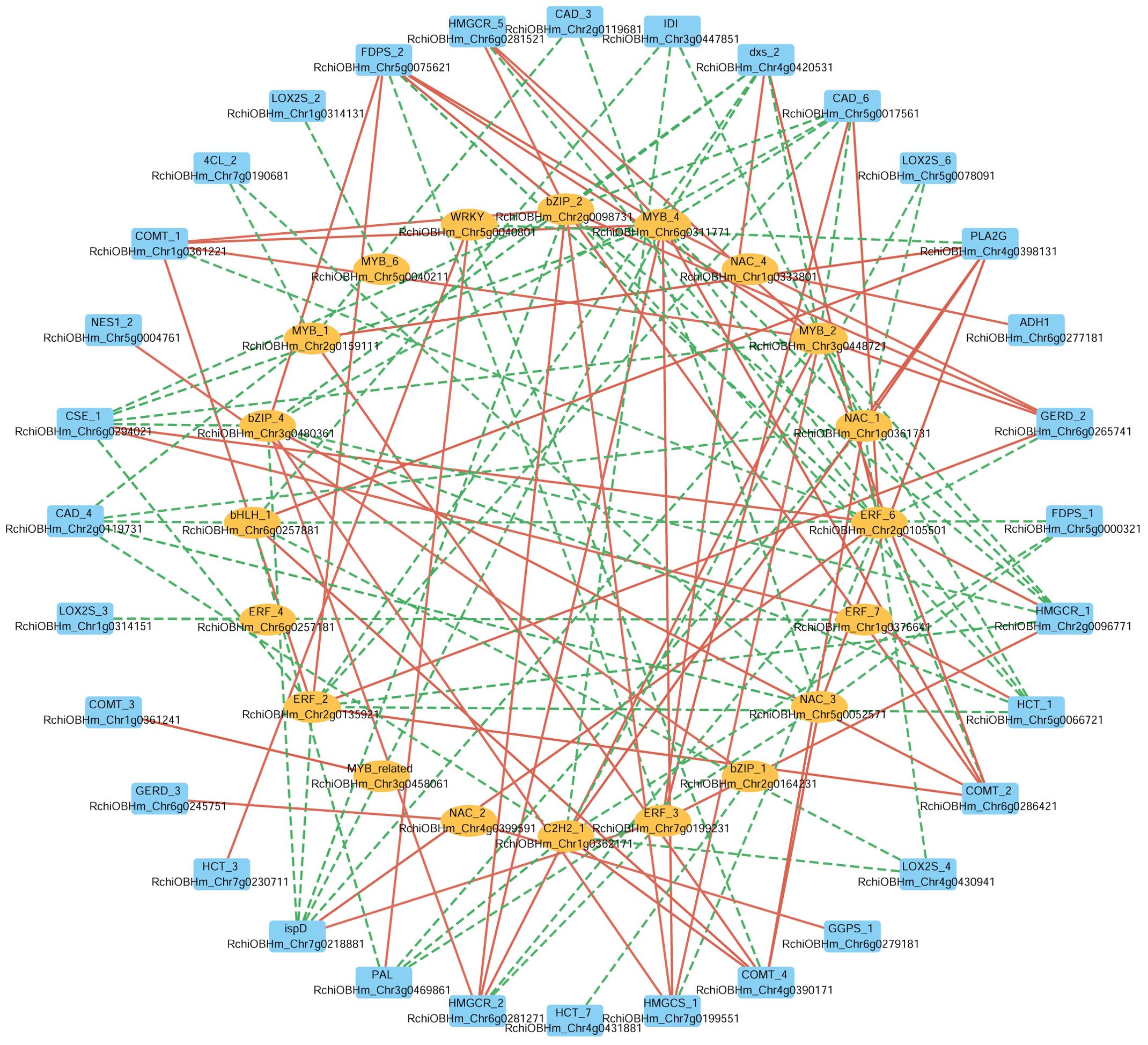 Gene interaction network diagram featuring various nodes connected by lines. Nodes are color-coded: blue for certain genes, orange for others. Solid red lines and dashed green lines represent different types of interactions between the nodes. Labels on nodes include gene names and identifiers. The layout appears circular, with nodes distributed evenly, showing complex interconnections across the network.