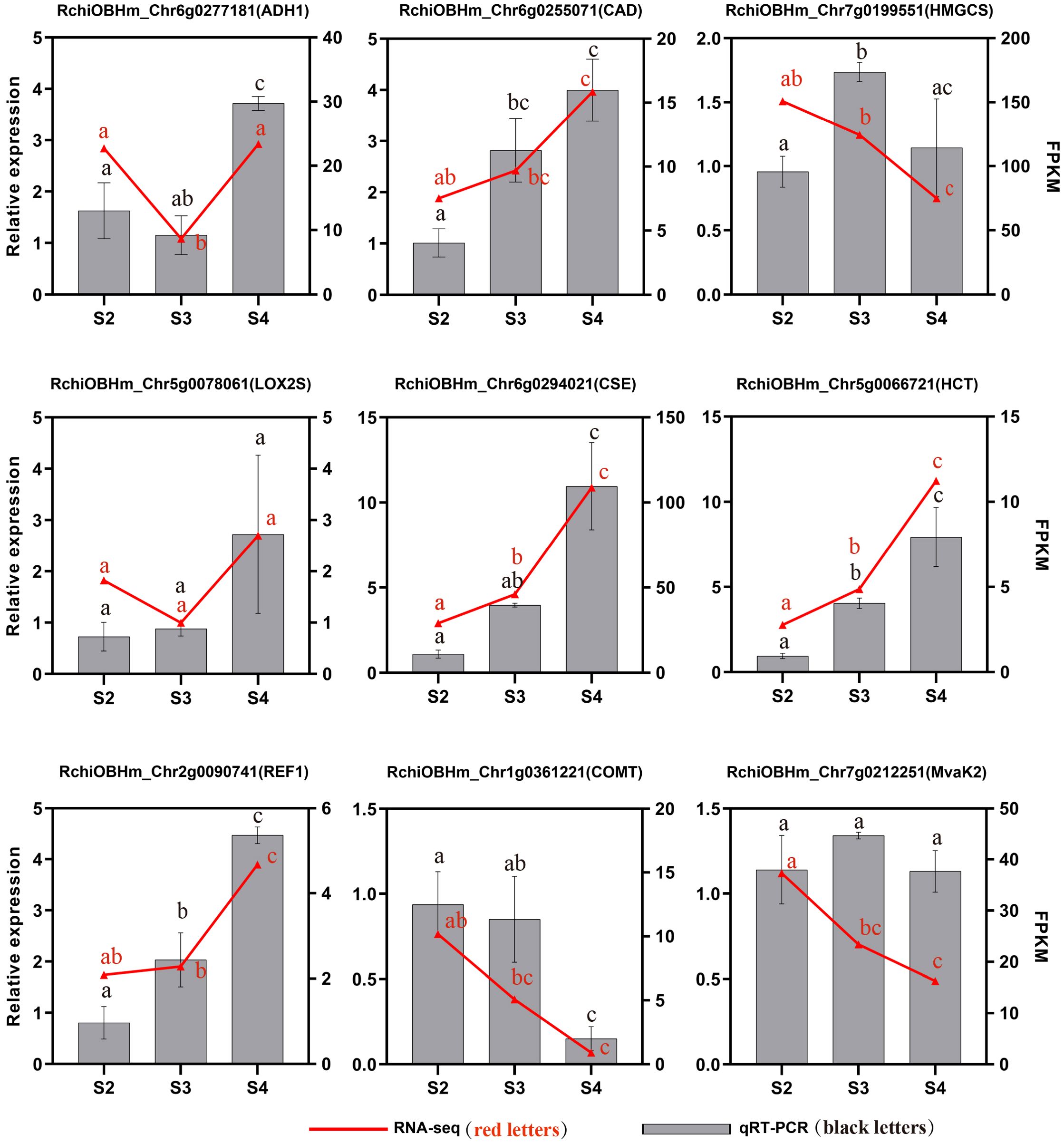 Nine bar graphs compare relative expression levels of different genes across stages S2, S3, and S4 using RNA-seq and qRT-PCR data. Each graph shows both red line plots for RNA-seq (red letters) and grey bars for qRT-PCR (black letters). Error bars indicate variability, and different letters denote statistical significance.