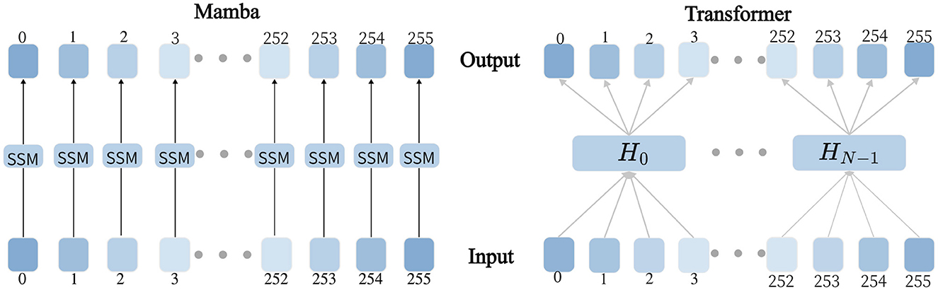 Diagram comparing Mamba and Transformer architectures. Mamba uses sequential SSM modules connected in a linear fashion. Transformer has layers labeled H0 to HN-1, with inputs and outputs connected to these layers, illustrating different processing methods.
