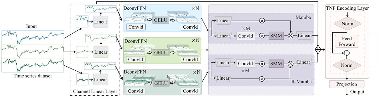 Flowchart illustrating a time series processing model. The input is a time series dataset processed through a channel linear layer, followed by three DconvFFN components with GELU activation. The output feeds into Mamba and R-Mamba layers, connected to linear, ConvlD, and SMM operations, then enters a TNF encoding layer with normalization and feedforward steps, concluding with a projection to yield the output.