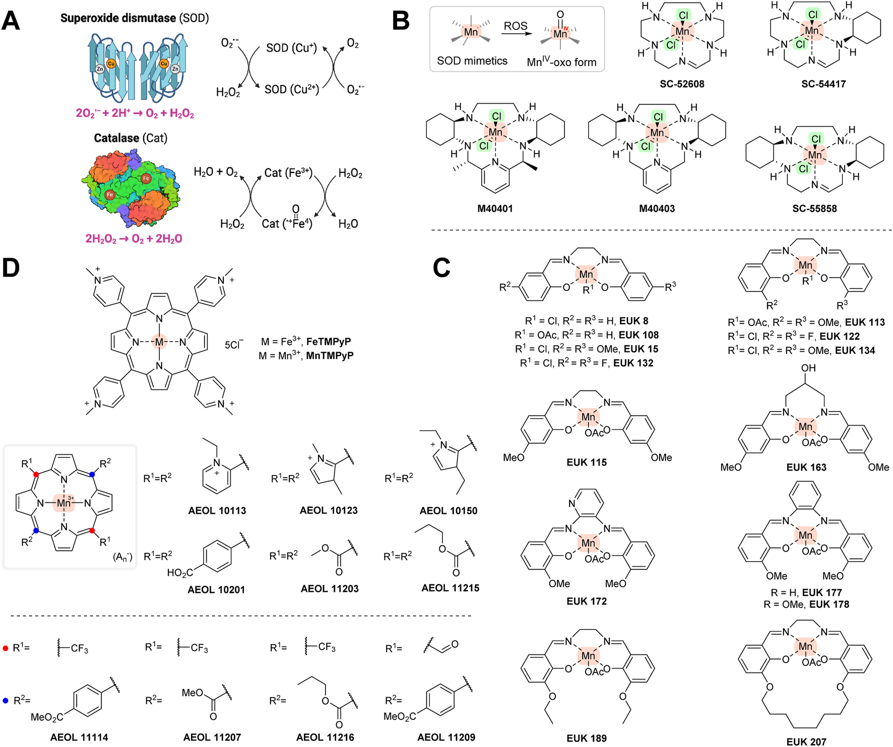 Diagram depicting chemical structures and reactions:A. Illustrations of superoxide dismutase (SOD) and catalase, with corresponding reactions converting superoxide to oxygen and hydrogen peroxide to water.B. Structures of manganese-based SOD mimetics with labels SC-52608, SC-54417, M40401, M40403, and SC-55858, showing Mn-oxo forms.C. Mn porphyrin complexes labeled EUK 8, 108, 15, 132, 113, 122, 134, 115, 172, 163, 189, 177, 178, and 207.D. Mn and Fe porphyrins labeled FeTMTPyP, MnTMTPyP, with structures AEOL 10113, 10123, 10150, 10201, 10203, 11215, 11114, 11207, 11212, 11209, 11216.