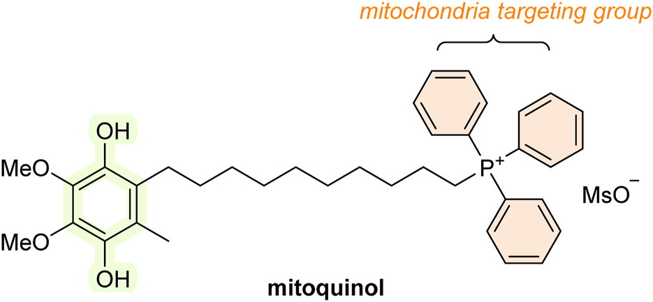 Chemical structure diagram of mitoquinol, highlighting the mitochondria targeting group. The molecule includes methoxy and hydroxyl groups, a long carbon chain, and a triphenylphosphonium group with methanesulfonate counterion.