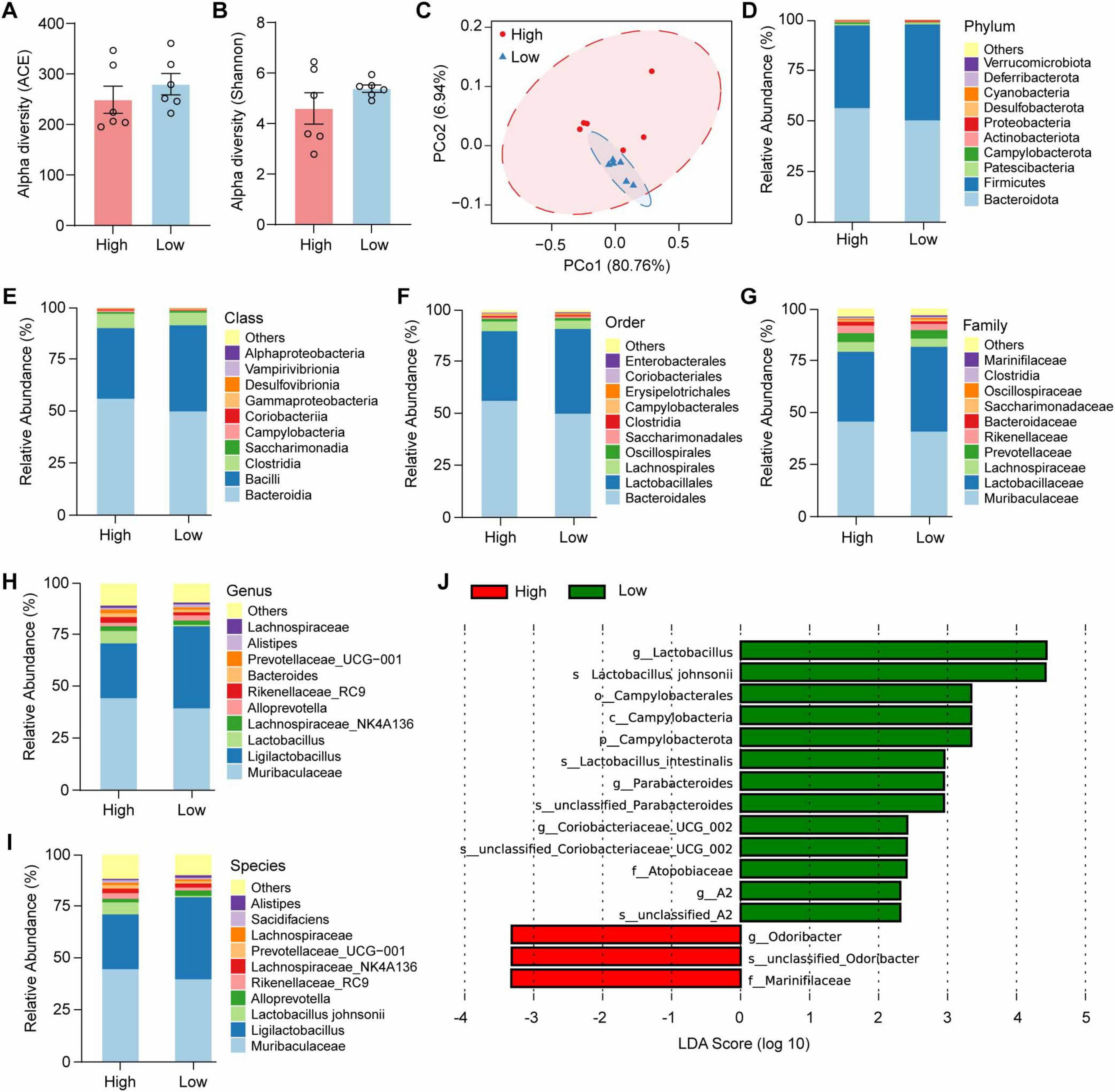 Multiple charts show microbial diversity and relative abundance at different taxonomic levels, comparing high and low groups. Charts A and B display alpha diversity, C is a PCoA plot, and D-I show abundance at phylum, class, order, family, genus, and species levels. Chart J presents LDA scores reflecting differences between groups.
