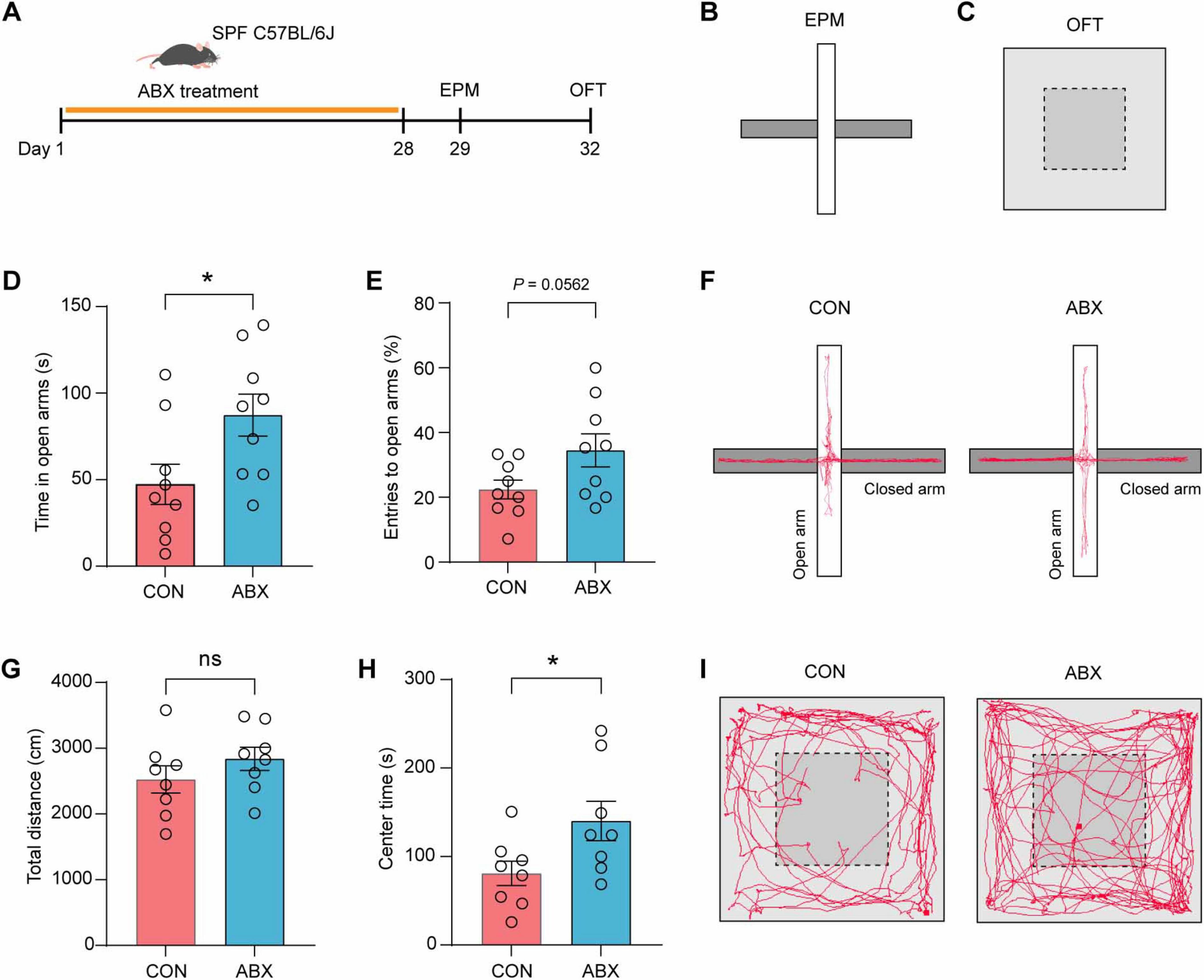 A timeline (A) shows ABX treatment on SPF C57BL/6J mice over 32 days with EPM and OFT tests. Illustrations of EPM (B) and OFT (C) are followed by graphs and diagrams. Graph (D) shows increased time in open arms for ABX group; graph (E) shows higher open arm entries for ABX; (F) EPM tracks display more open arm activity for ABX; graph (G) shows similar distance traveled; graph (H) shows more center time for ABX; (I) OFT tracks show increased center activity for ABX. Asterisks indicate statistical significance.