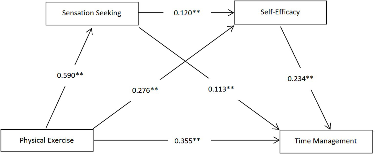 Diagram showing relationships between sensation seeking, self-efficacy, physical exercise, and time management. Arrows with coefficients illustrate connections: sensation seeking to self-efficacy (0.120), self-efficacy to time management (0.234), physical exercise to self-efficacy (0.590), physical exercise to time management (0.355), and sensation seeking to physical exercise (0.276) and time management (0.113). All coefficients are statistically significant.