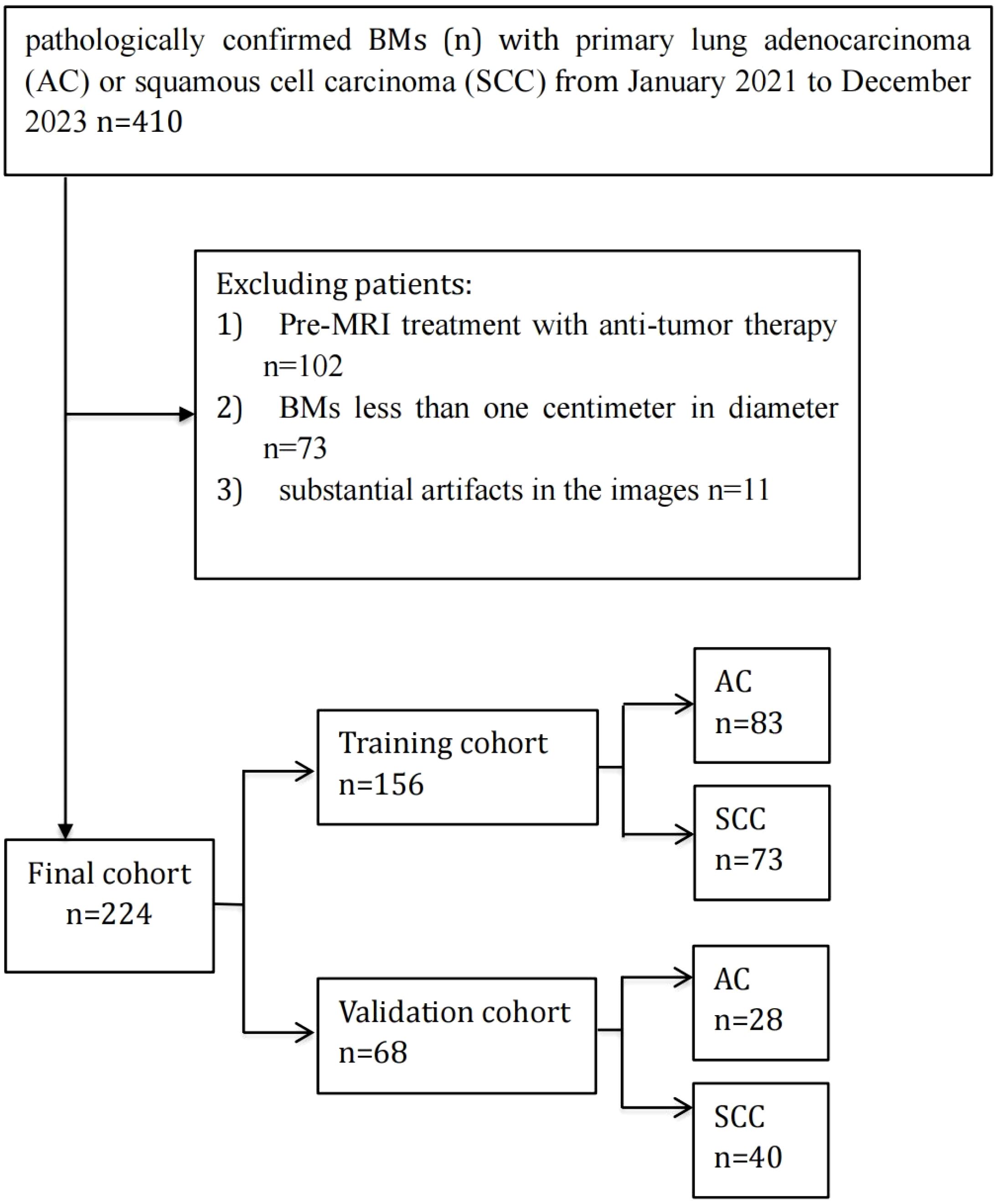 Flowchart depicting the study population selection. Initially, 410 patients with confirmed brain metastases from lung adenocarcinoma (AC) or squamous cell carcinoma (SCC) were considered. Exclusions were made for pre-MRI anti-tumor treatment (102 patients), brain metastases under one centimeter (73 patients), and substantial image artifacts (11 patients). The final cohort consists of 224 patients, split into a training cohort of 156 (83 AC, 73 SCC) and a validation cohort of 68 (28 AC, 40 SCC).