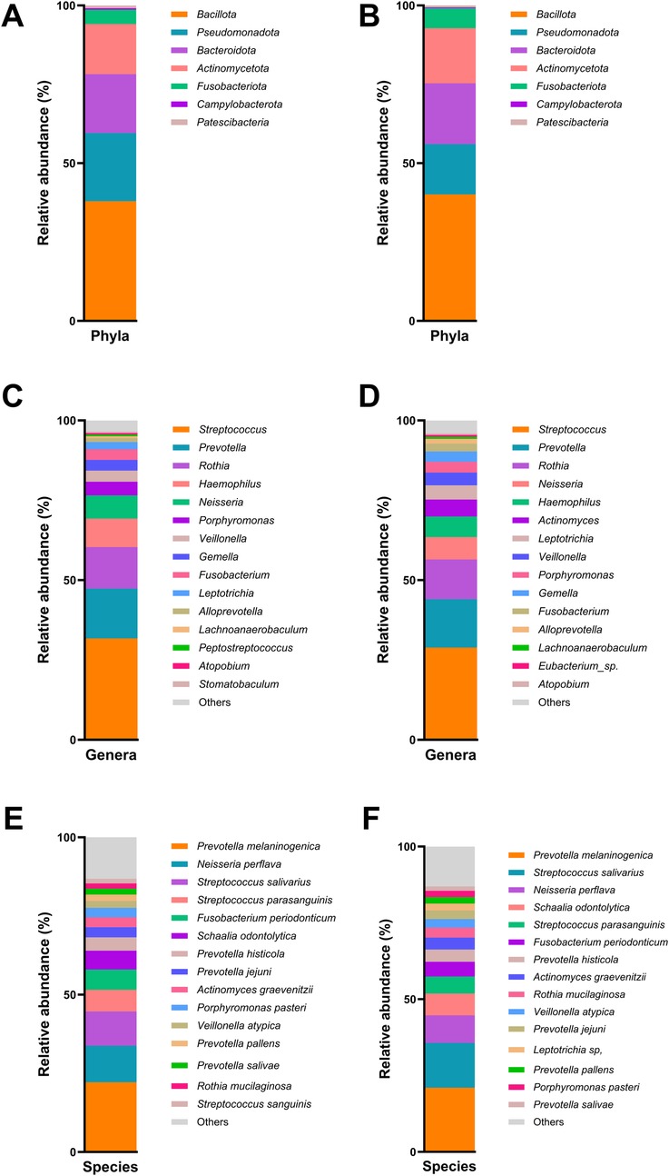 Bar charts labeled A to F display the relative abundance of microbial communities at different taxonomic levels: phyla (A and B), genera (C and D), and species (E and F). Each chart uses different colors to represent specific categories, with a corresponding legend indicating the categories such as Bacillota and Streptococcus. The y-axis indicates relative abundance in percentage, ranging from zero to one hundred. Charts B, D, and F appear to represent a comparative group to A, C, and E, respectively.