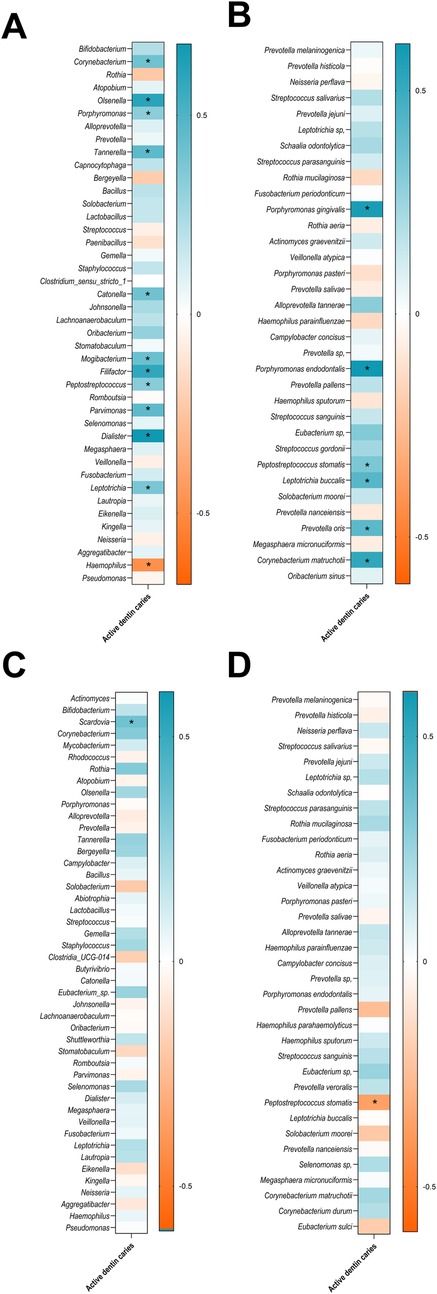 Heatmaps labeled A, B, C, and D display bacterial abundance linked to active dentin caries. Each panel lists various bacteria on the left with a color gradient representing abundance, ranging from blue (high) to orange (low). Asterisks indicate significant differences. Panels A and B have additional bacteria compared to C and D.