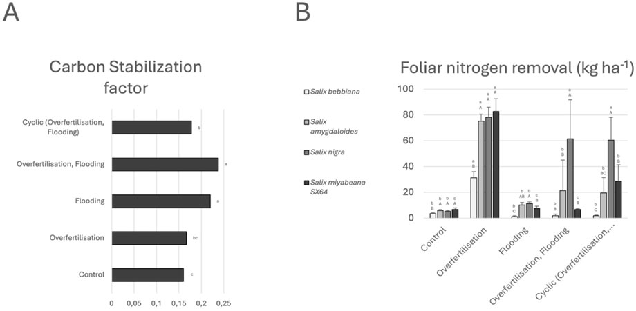 Panel A is a horizontal bar chart showing the carbon stabilization factor under five conditions: control, overfertilization, flooding, overfertilization and flooding, and cyclic overfertilization and flooding. Panel B is a vertical bar chart depicting foliar nitrogen removal (in kilograms per hectare) for different willow species: Salix bebbiana, Salix amygdaloides, Salix nigra, and Salix miyabeana SX64 under the same conditions. Bars vary in height, indicating differences in nitrogen removal across species and treatments.