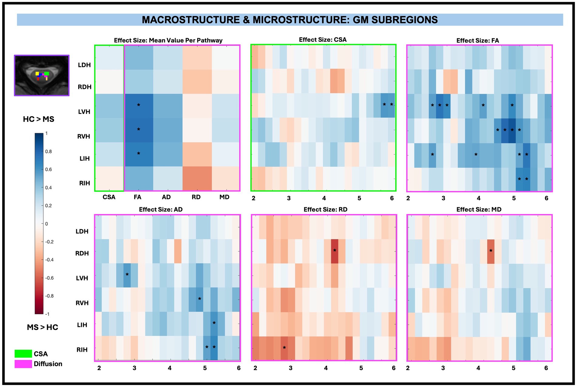 Effect-size heat maps depict spinal cord GM subregions in macrostructure and microstructure, labeled as CSA, FA, AD, RD, and MD. The top left map demonstrates mean values, with a blue to red scale. The additional five plots depict the effect sizes listed for each measure across spinal levels C2 to C5.