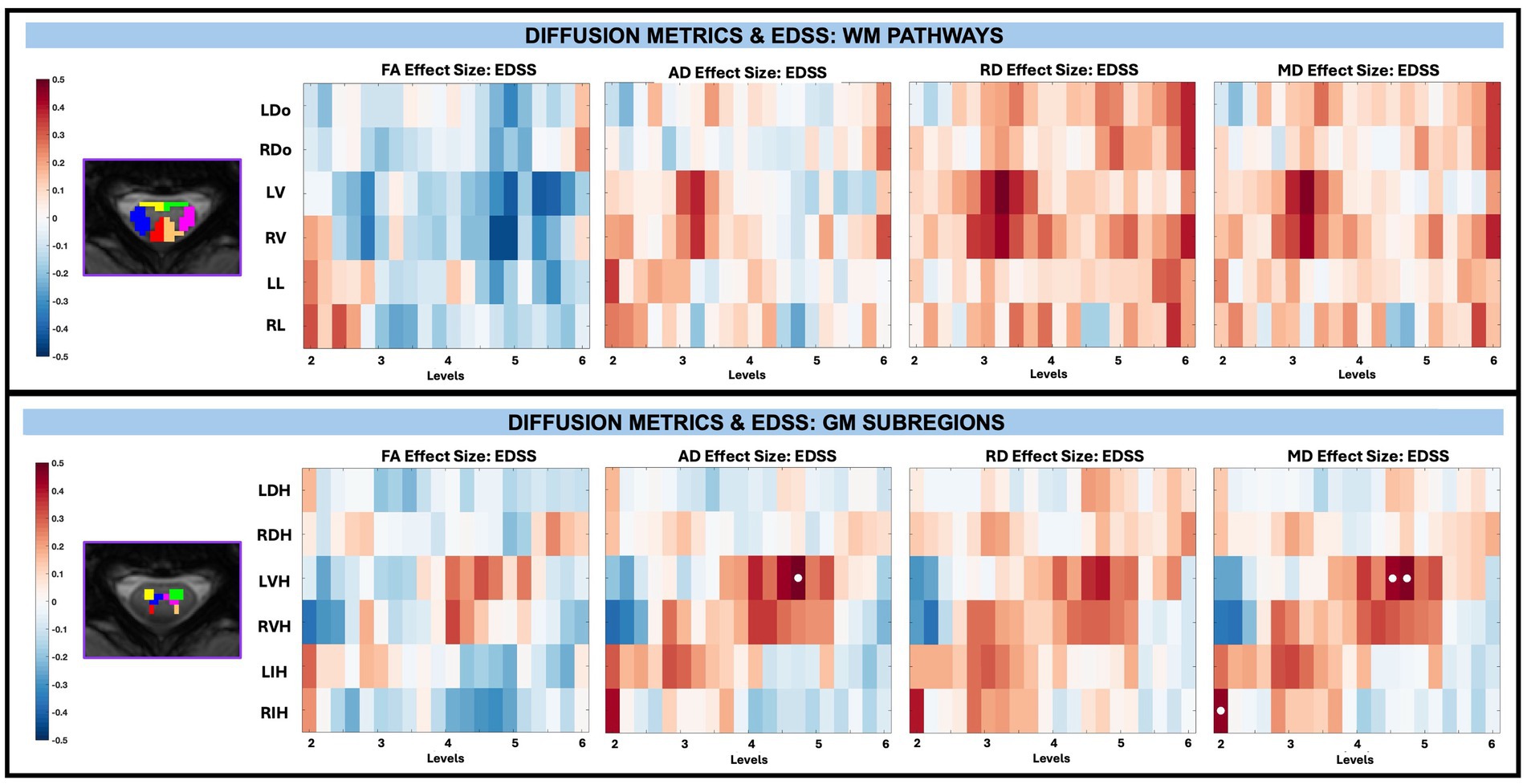 Heat maps comparing diffusion metric effect sizes with EDSS. Two axial spinal cord MRI slices WM pathways and GM subregions. Each plot represents FA, AD, RD, and MD metrics. A color bar on the left represents effect sizes from -0.5 to 0.5 ranging from blue (negative) to red (positive).