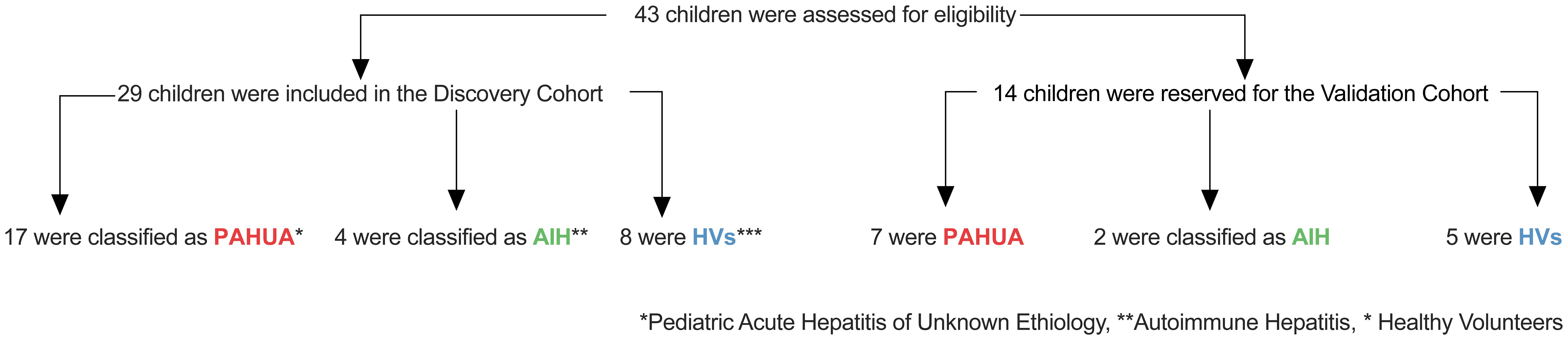 Flowchart showing the eligibility and classification of 43 children. Of these, 29 were in the Discovery Cohort: 17 classified as PAHUA, 4 as AIH, and 8 as HVs. Fourteen were in the Validation Cohort: 7 as PAHUA, 2 as AIH, and 5 as HVs. PAHUA means Pediatric Acute Hepatitis of Unknown Etiology, AIH is Autoimmune Hepatitis, and HVs are Healthy Volunteers.