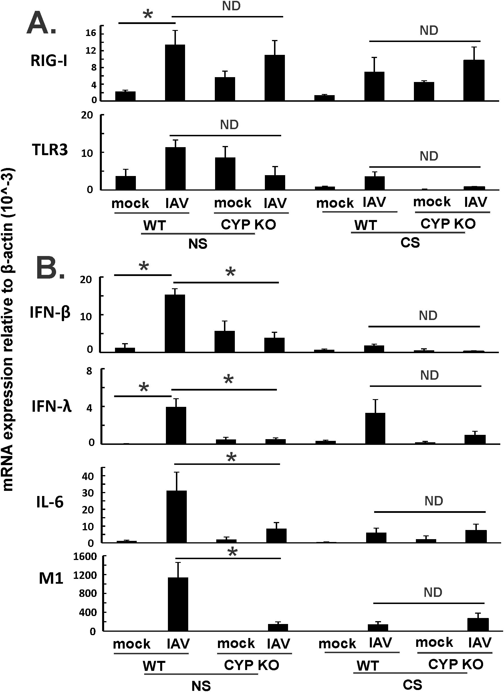 Bar graphs showing cytokine levels (IFN-α, IFN-β, IL-6, MCP-1, IFN-γ, IL-4) in pg/mL across different groups: mock and IAV for WT and CYP KO under NS and CS conditions. Asterisks denote significant differences. ND indicates not detected.