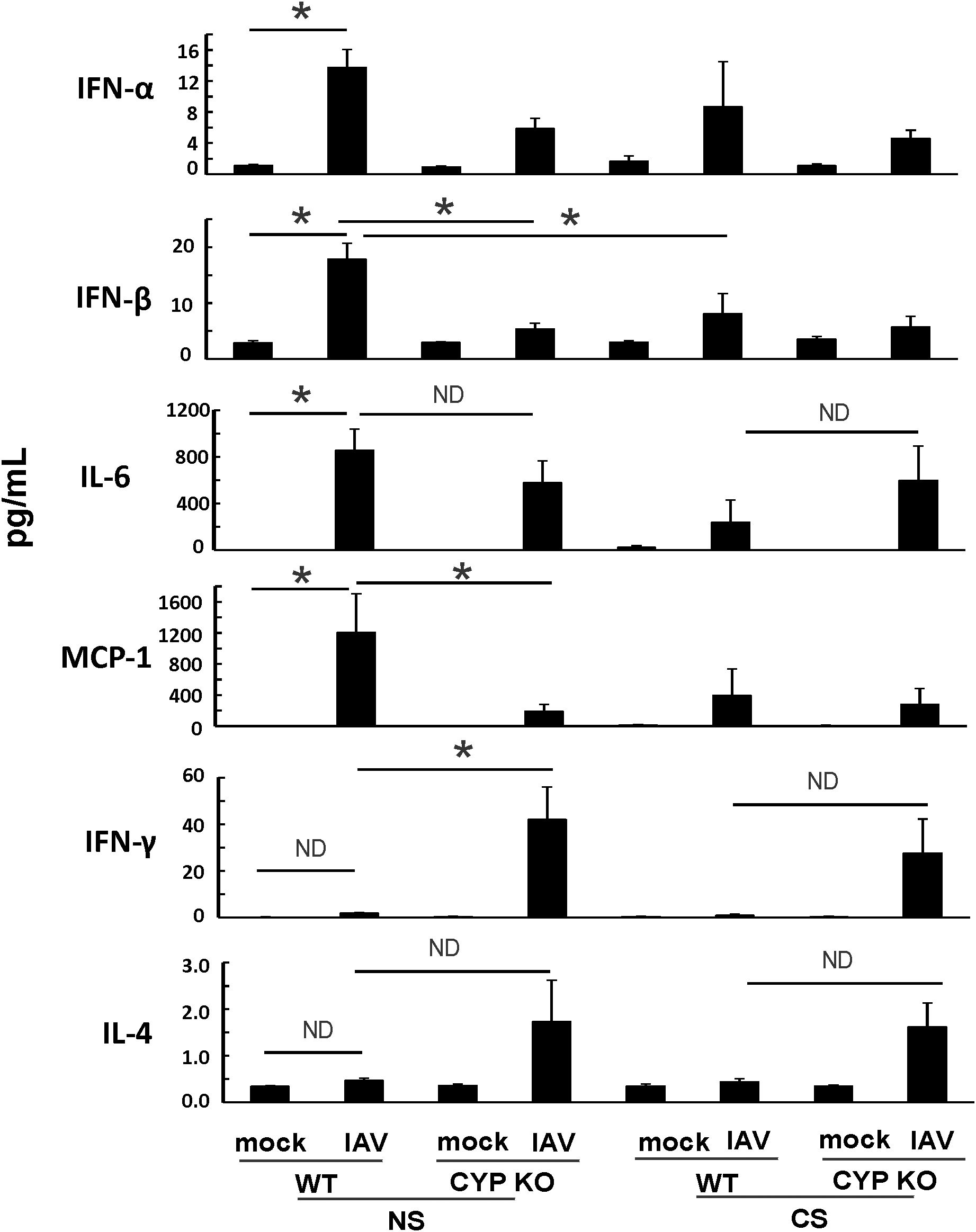 Bar charts showing mRNA expression levels of IFN-γ and IL-4 relative to β-actin. The x-axis includes groups: WT mock, CYP KO mock, WT IAV, and CYP KO IAV. The y-axis measures expression levels. Bars represent Days 2, 3, and 5. Significant differences are indicated by asterisks, with notable increases in the CYP KO IAV group on Day 5 for both IFN-γ and IL-4.