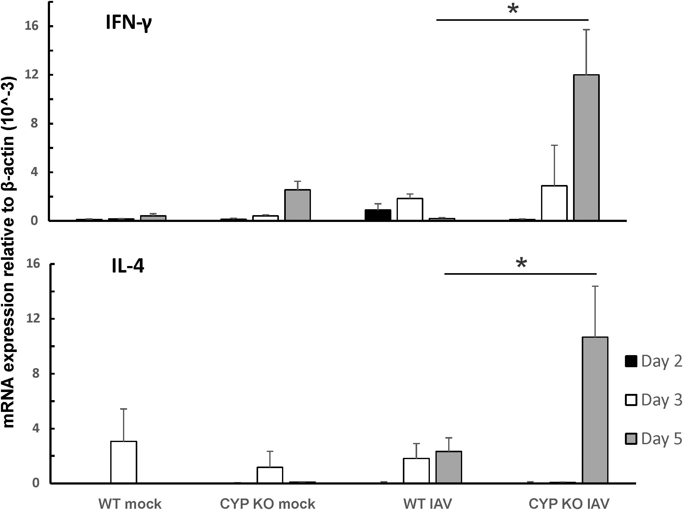 Graphs comparing wild-type (WT) and knockout (KO) mice for various immune cell populations. Panel A shows data for CD45+ cells, T cells, B cells, neutrophils, MoDC, MHCII-Ly6C+, and cDC. Significant differences are noted between WT and KO in neutrophils, MoDC, and MHCII-Ly6C+. Panel B includes scatter plots for NK1.1 and CD8, and comparisons for NK cells, NK cells %IFNG+, and IFNG+ NK cells, with significant differences noted in NK cell populations.