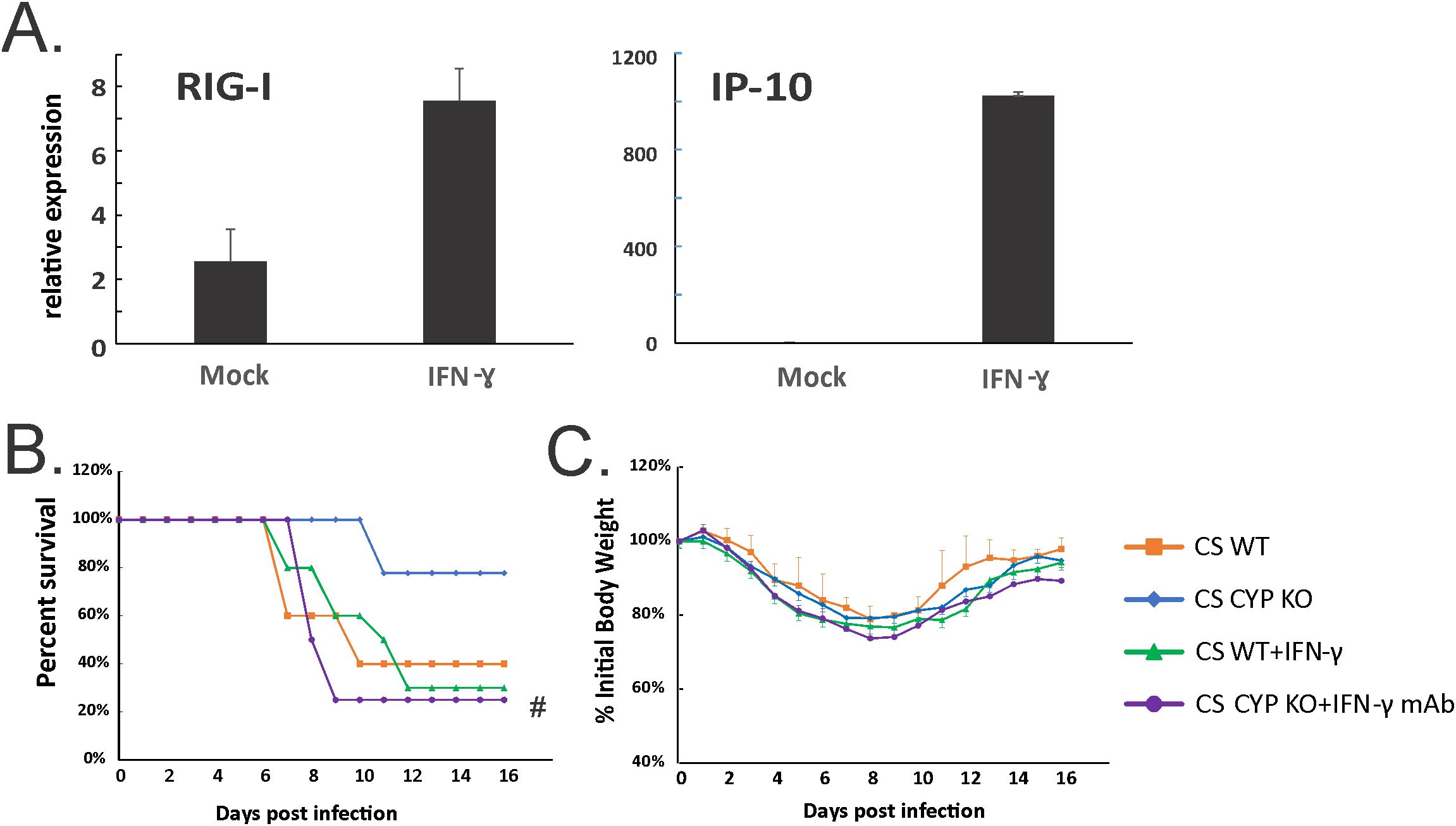 Histological images (A-F) showing lung tissue samples with varying levels of cellular changes. Panels A, D: Mock-infected. Panels B, E, C, F: PR8-infected. Notable differences in cellular infiltration and architecture are observed. Graph G indicates histopathological changes quantified as bar charts, comparing WT Mock, WT PR8, and CYP KO+PR8 across NS and CS conditions. ND indicates no significant difference. Bars represent data variability.