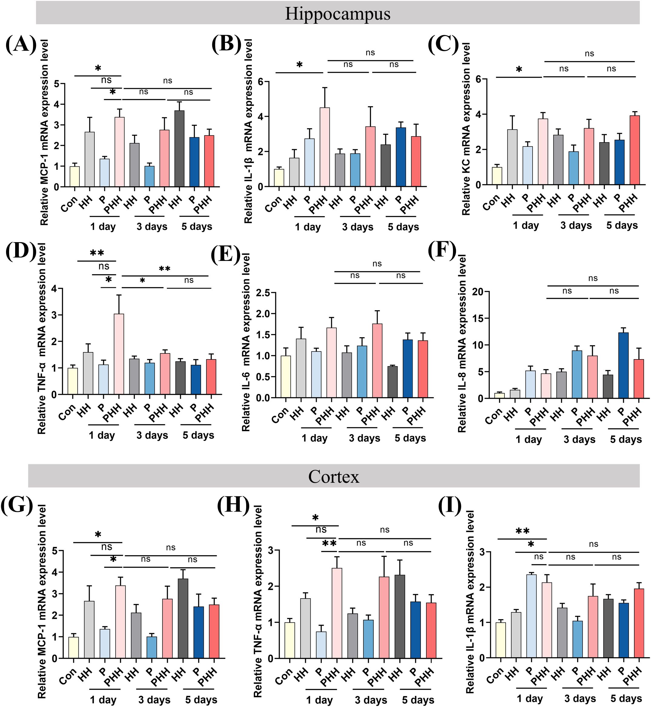 Bar graphs show the relative mRNA expression levels in the hippocampus and cortex over one, three, and five days, comparing conditions labeled as Con, HH, PHH, and P. Each panel (A-I) represents a different gene: MCP-1, IL-1β, KC, TNF-α, and IL-6. Significant differences are marked with asterisks, where * indicates p<0.05 and ** indicates p<0.01, while “ns” denotes no significant difference.