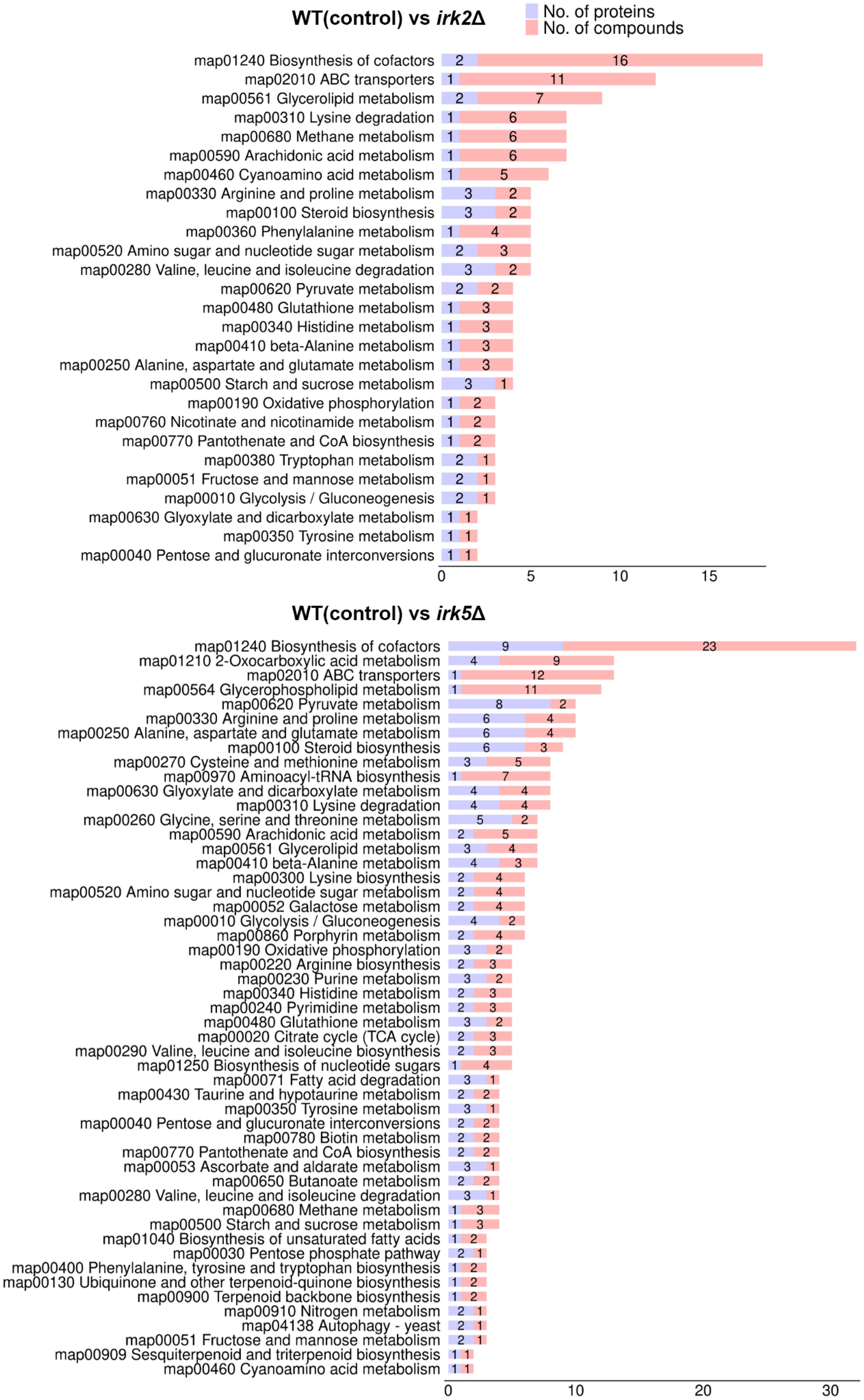 Two bar charts compare metabolic pathways between WT (control) and irk∆ strains, showing the number of proteins and compounds involved. The top chart examines irk2∆, while the bottom chart focuses on irk5∆. Both charts display a range of pathways, indicating differences in protein and compound counts, highlighted in blue for proteins and red for compounds.