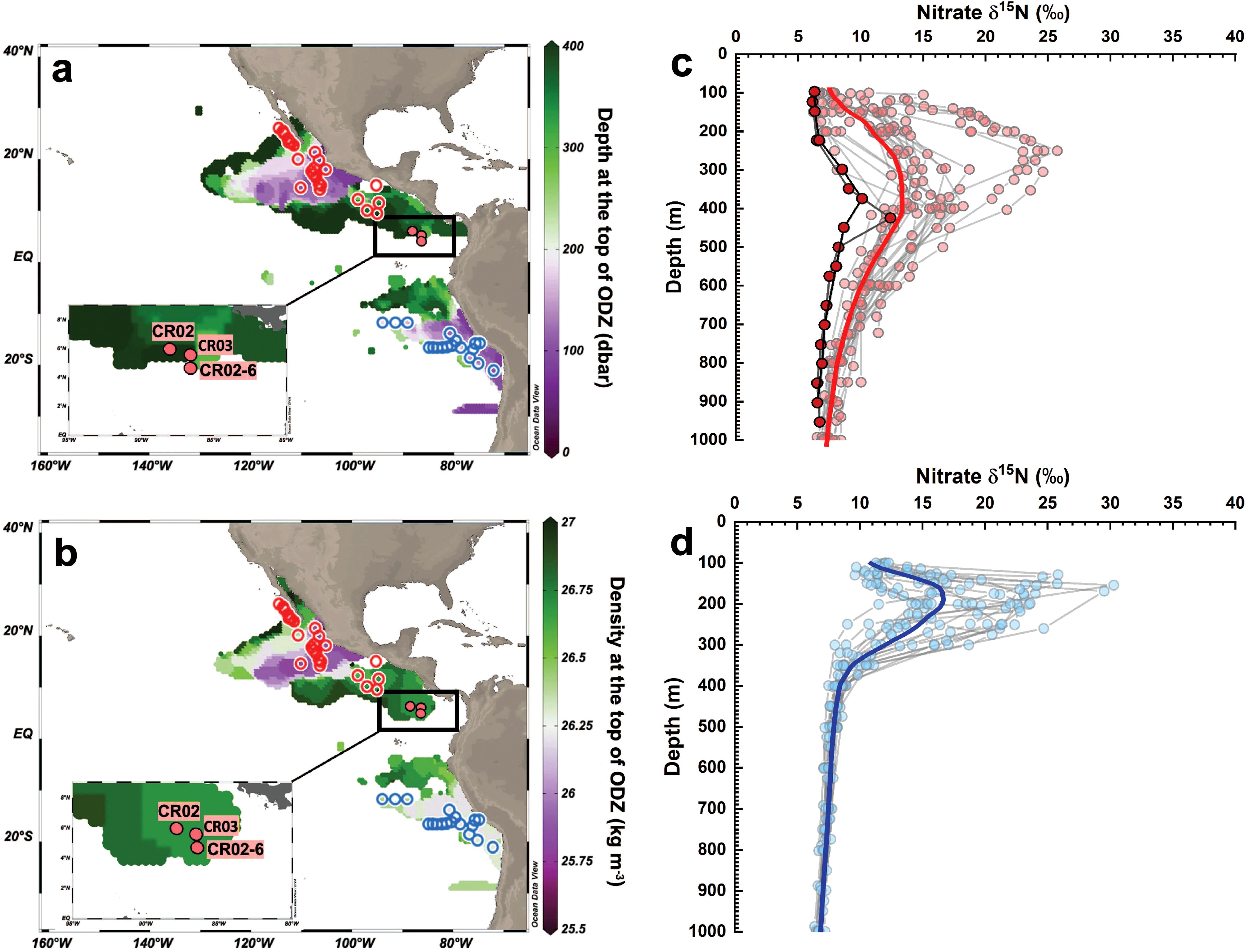 Maps and graphs showing nitrate \( \delta^{15}N \) data in oceanic zones. (a) and (b) maps show regions with marked points, color-coded by depth and density at the top of the Oxygen Deficient Zone (ODZ). Insets detail locations CR02, CR03, CR02-6. (c) and (d) graphs plot nitrate \( \delta^{15}N \) against depth, with color differentiation for data, represented by red and blue curves and points, respectively.