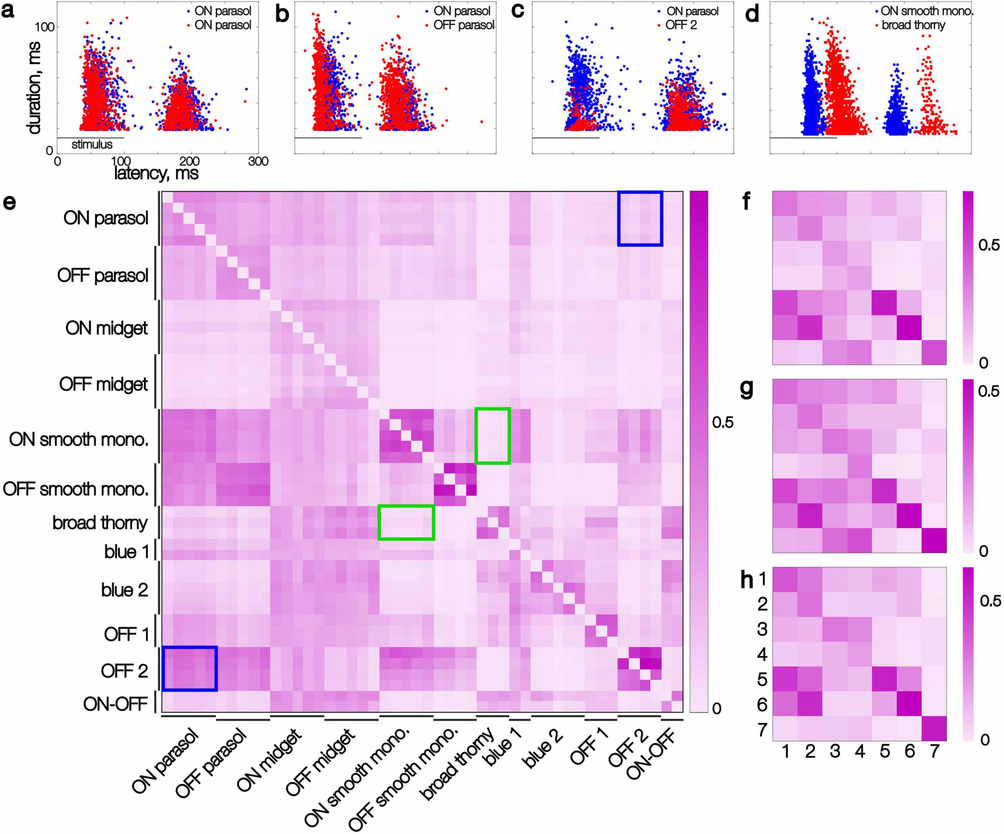 Figure 4 displays response latency and similarity measures for pairs of simultaneously recorded ganglion cells. Panels (a–d) show scatter plots comparing latency and duration of individual cell responses to a flashed image, with each dot representing one response, and each panel showing data for a different image. Each plot shows a pair of cells, one with blue and one with red dots. Red and blue dots form distributions that overlap more or less on different panels. Panel (e) shows a large heatmap matrix of similarity scores between all cell pairs in a single recording, organized by cell type. Lighter values indicate higher similarity. A blue rectangle highlights an example of a pair of cell types with asymmetric scores, and a green rectangle highlights an example of a pair of cell types with low, symmetric scores. Panels (f–h) show smaller heatmaps summarizing pairwise similarity scores for seven major cell types in three different datasets.