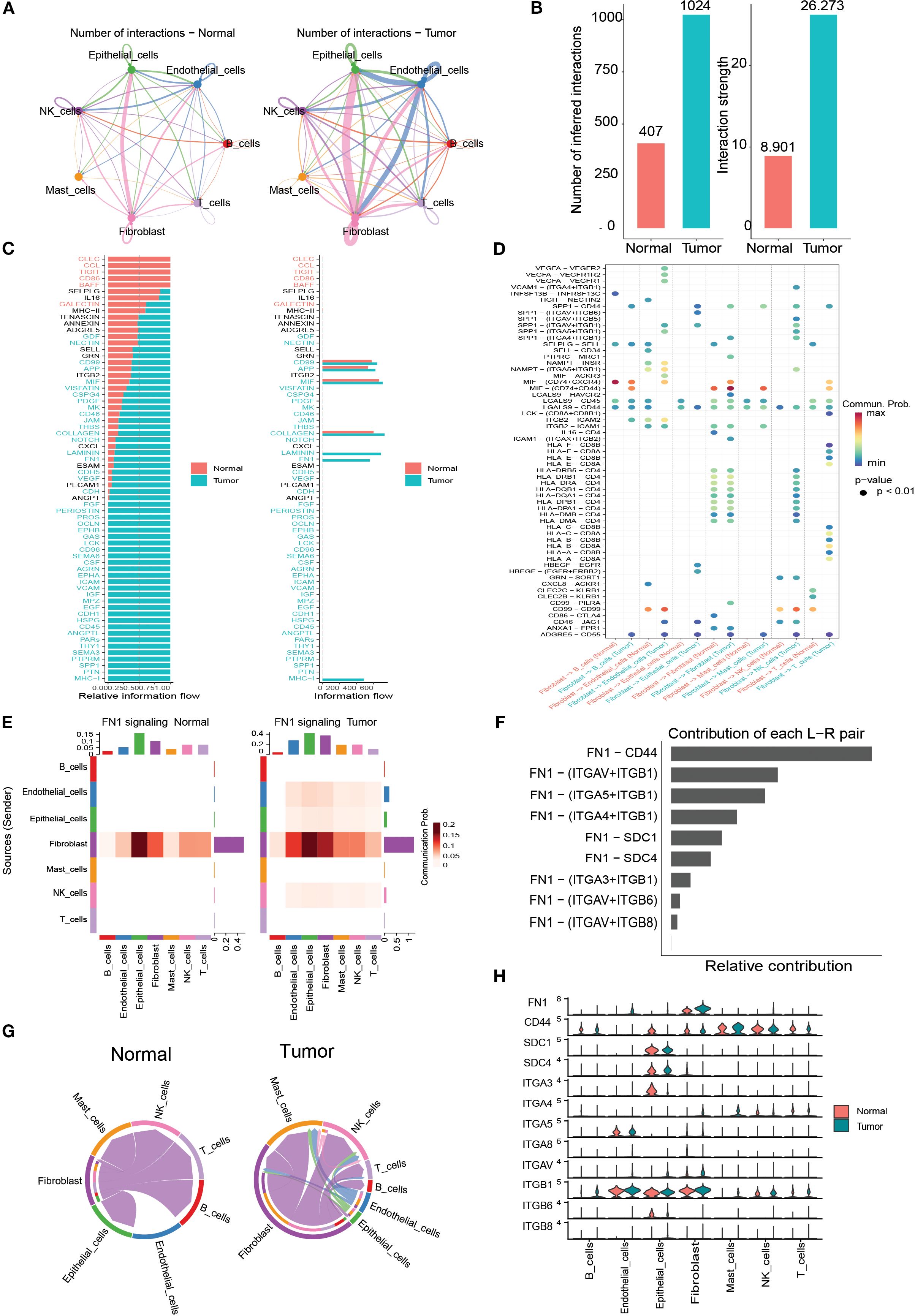Diagram comparing cellular interactions and signaling pathways between normal and tumor tissues. Panel A shows interaction networks; B presents bar graphs of interaction counts and strengths; C highlights relative information flow; D is a bubble plot of communication probabilities; E displays heatmaps of FN1 signaling; F shows a bar chart of ligand-receptor pair contributions; G illustrates chord diagrams of cell interactions; H contains violin plots of relative contributions by cell type.