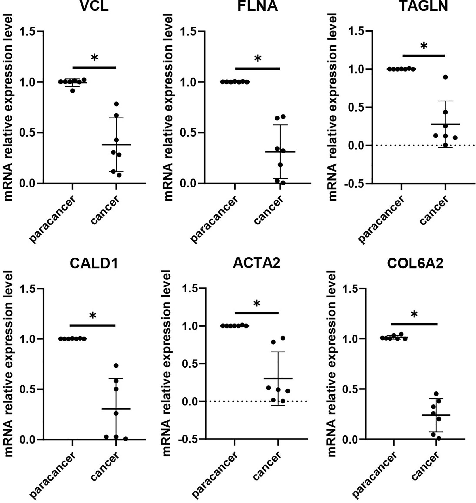 Graphs comparing mRNA relative expression levels of six genes (VCL, FLNA, TAGLN, CALD1, ACTA2, COL6A2) between paracancerous and cancerous tissues. Each graph shows a significant decrease in expression in cancerous tissues, indicated by an asterisk and horizontal bar over the data points. Data points are scattered with error bars representing variability.