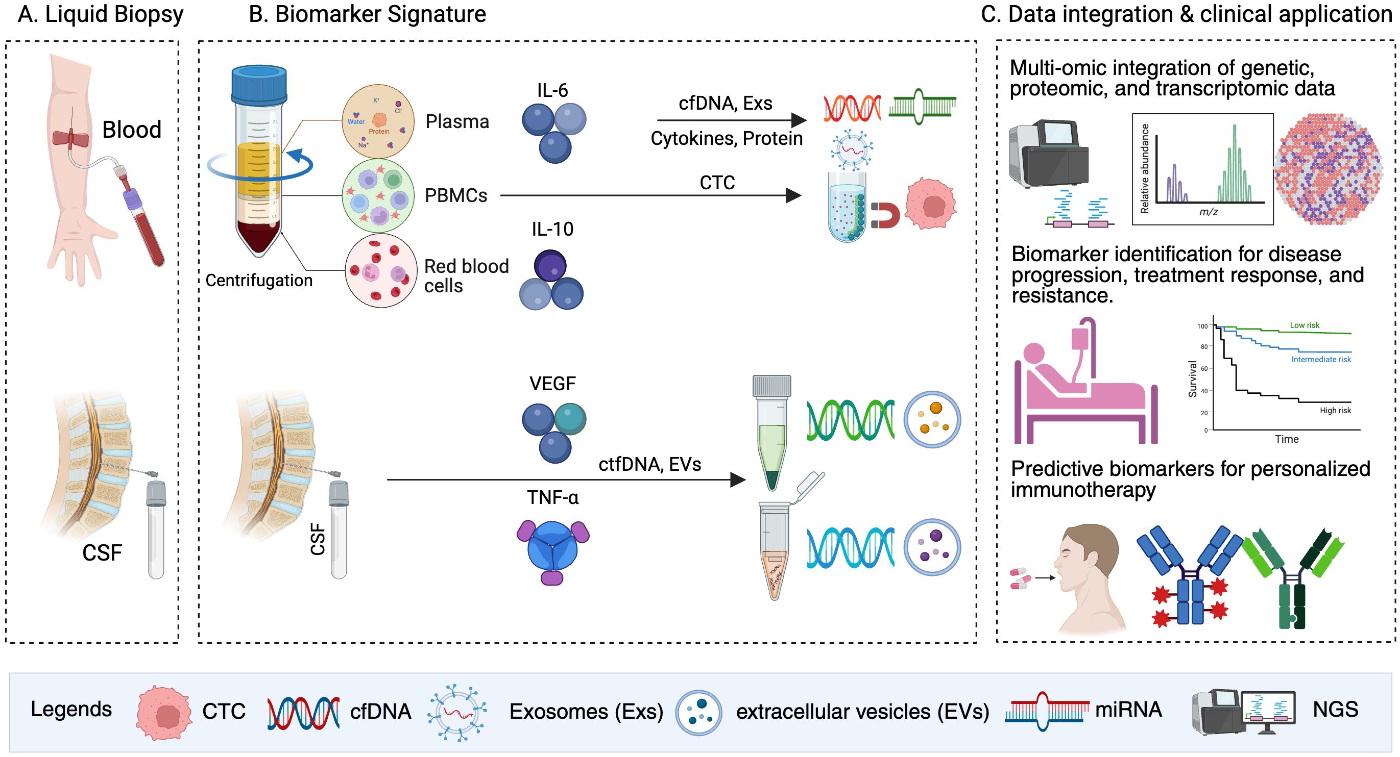 Diagram illustrating liquid biopsy and its applications.Section A shows sources including blood and cerebrospinal fluid (CSF) samples.Section B depicts biomarker signatures derived from plasma, PBMCs, and red blood cells, highlighting cytokines such as IL-6, IL-10, VEGF, and TNF-α, along with the release of cfDNA, exosomes (Exs), and circulating tumor cells (CTCs).Section C presents multi-omic data integration and clinical applications, including identification of biomarkers for disease progression and prediction of immunotherapy response.Legends explain key terms: CTCs, cfDNA, Exosomes (Exs), extracellular vesicles (EVs), microRNA (miRNA), and next-generation sequencing (NGS).