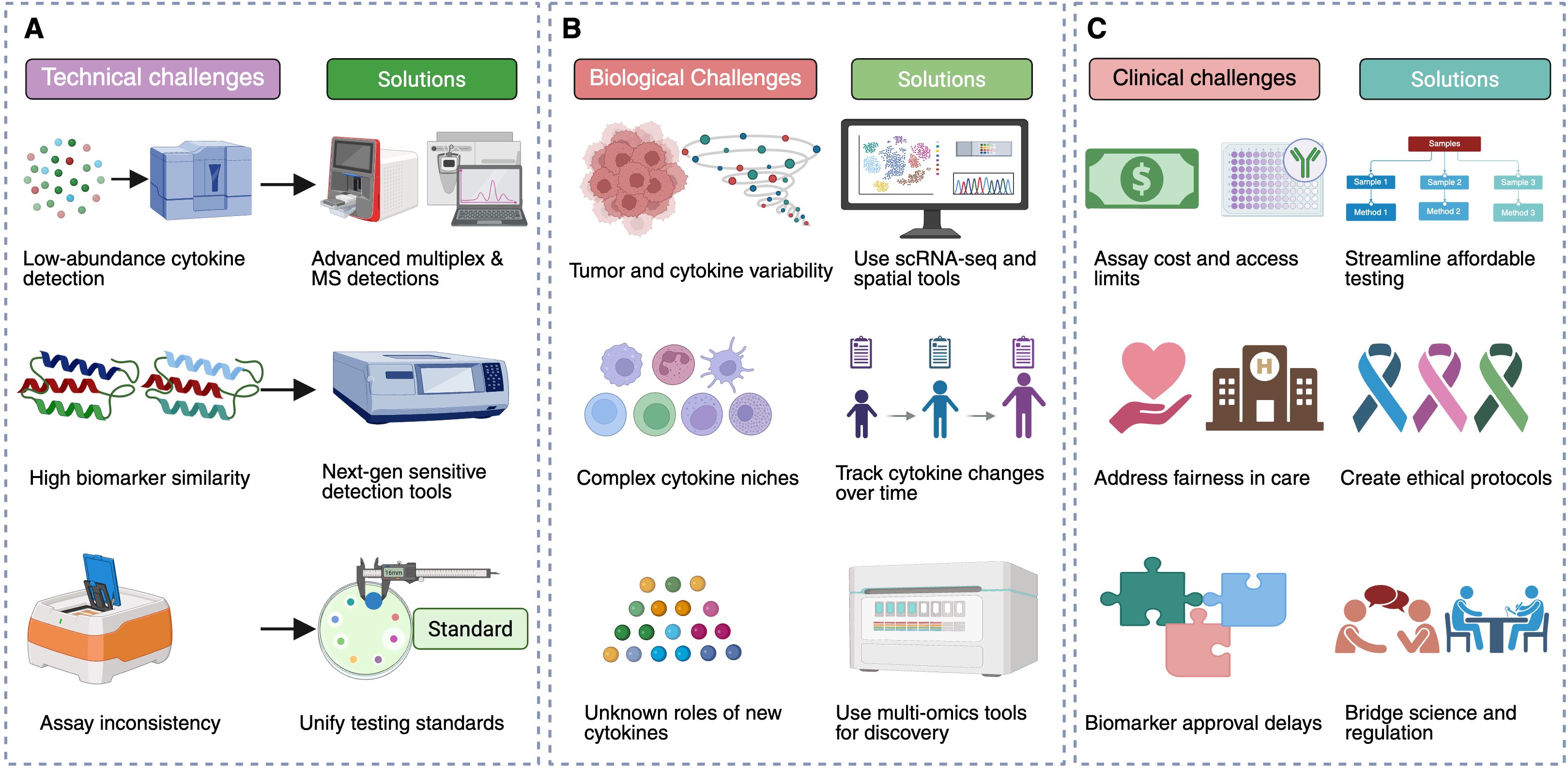 Infographic illustrating challenges and solutions in cytokine detection.Panel A (Technical Challenges) presents issues such as low-abundance cytokines, high biomarker similarity, and assay inconsistency, with solutions including multiplex platforms and mass spectrometry (MS)-based detection.Panel B (Biological Challenges) covers tumor heterogeneity, complex microenvironments, and unknown cytokine functions, addressed by single-cell RNA sequencing (scRNA-seq), spatial profiling, and multi-omic approaches.Panel C (Clinical Challenges) outlines barriers like high assay costs, unequal access to care, and delayed biomarker validation, with proposed solutions including affordable testing, ethical frameworks, and improved translational pipelines.Each challenge is visually paired with a corresponding solution.
