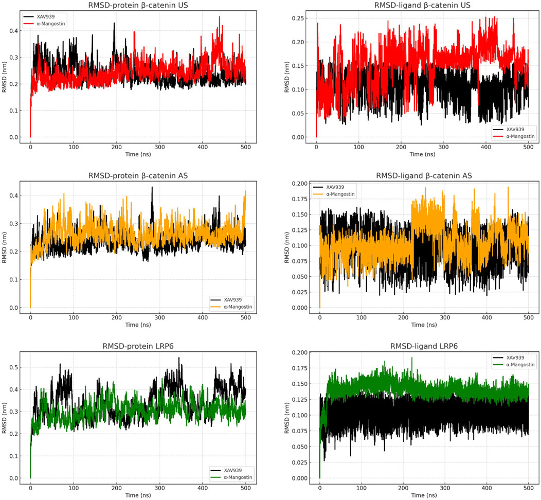 Six line graphs display RMSD (Root Mean Square Deviation) data for two inhibitors, XAV939 and α-Mangostin, over time. The graphs detail RMSD for protein and ligand interactions with β-catenin and LRP6, both in unbound (US) and bound (AS) states. Colors used: black (XAV939), red (α-Mangostin US), orange (α-Mangostin AS), and green (LRP6). Each graph shows RMSD values in nanometers against time in nanoseconds up to 500 ns.