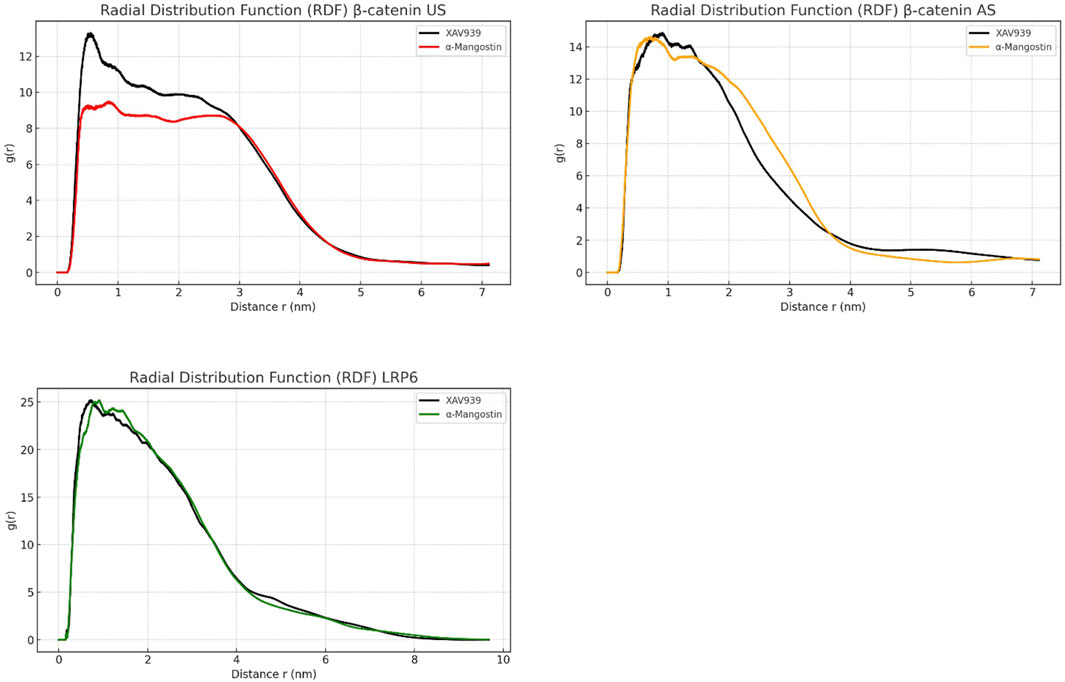 Three line graphs showing the Radial Distribution Function (RDF) for β-catenin US, β-catenin AS, and LRP6. The β-catenin US graph uses black and red lines for XAV939 and α-Mangostin, peaking around 0.8 nanometers. The β-catenin AS graph uses black and orange lines, also peaking around 0.8 nanometers. The LRP6 graph uses black and green lines, peaking slightly higher. All measure the distance in nanometers on the x-axis and g(r) on the y-axis.