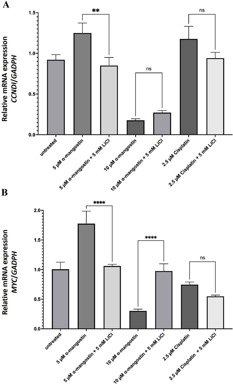 Bar graphs illustrating relative mRNA expression levels. Graph A shows CCND1/GAPDH expression, with significant changes indicated for 5 micromolar alpha-mangostin. Graph B shows MYC/GAPDH expression, with significant changes noted for 5 micromolar alpha-mangostin. Lithium chloride and cisplatin treatments are also included. Statistical significance is marked by asterisks, and