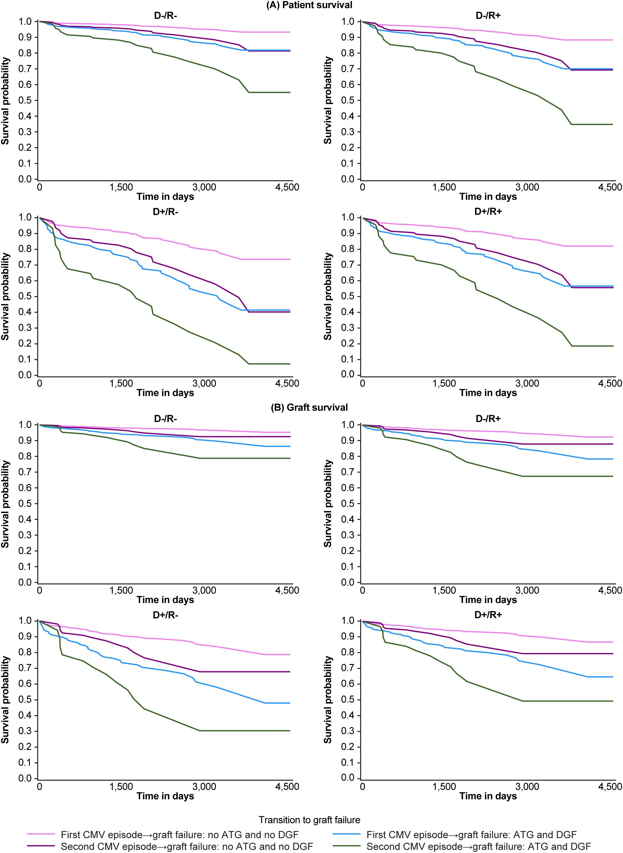 Graphs showing survival probabilities over time in days for patient and graft survival in four scenarios: D-/R-, D-/R+, D+/R-, and D+/R+. Each scenario is depicted on two charts: (A) for patient survival and (B) for graft survival. Different colored lines represent transitions to graft failure based on CMV episodes: magenta for first CMV episode without ATG and DGF, blue for second CMV episode without ATG and DGF, purple for first CMV episode with ATG and DGF, and green for second CMV episode with ATG and DGF.