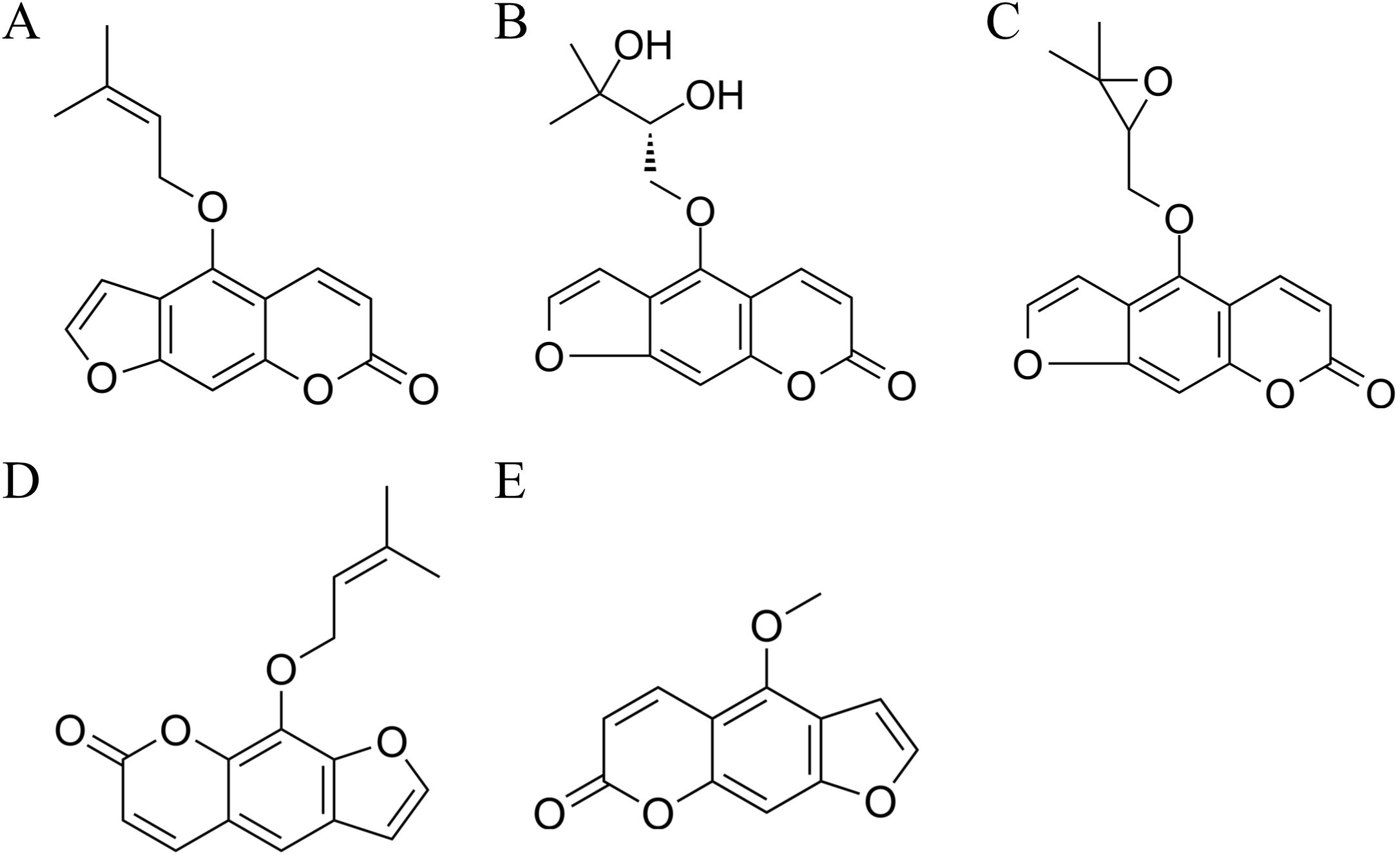 Chemical structures labeled A to E. Each structure displays different functional groups attached to a similar core. Structure A has an isopropyl group. Structure B features a hydroxyl group and a stereocenter. Structure C includes a tert-butyl group. Structure D has a furan ring. Structure E shows a methoxy group.