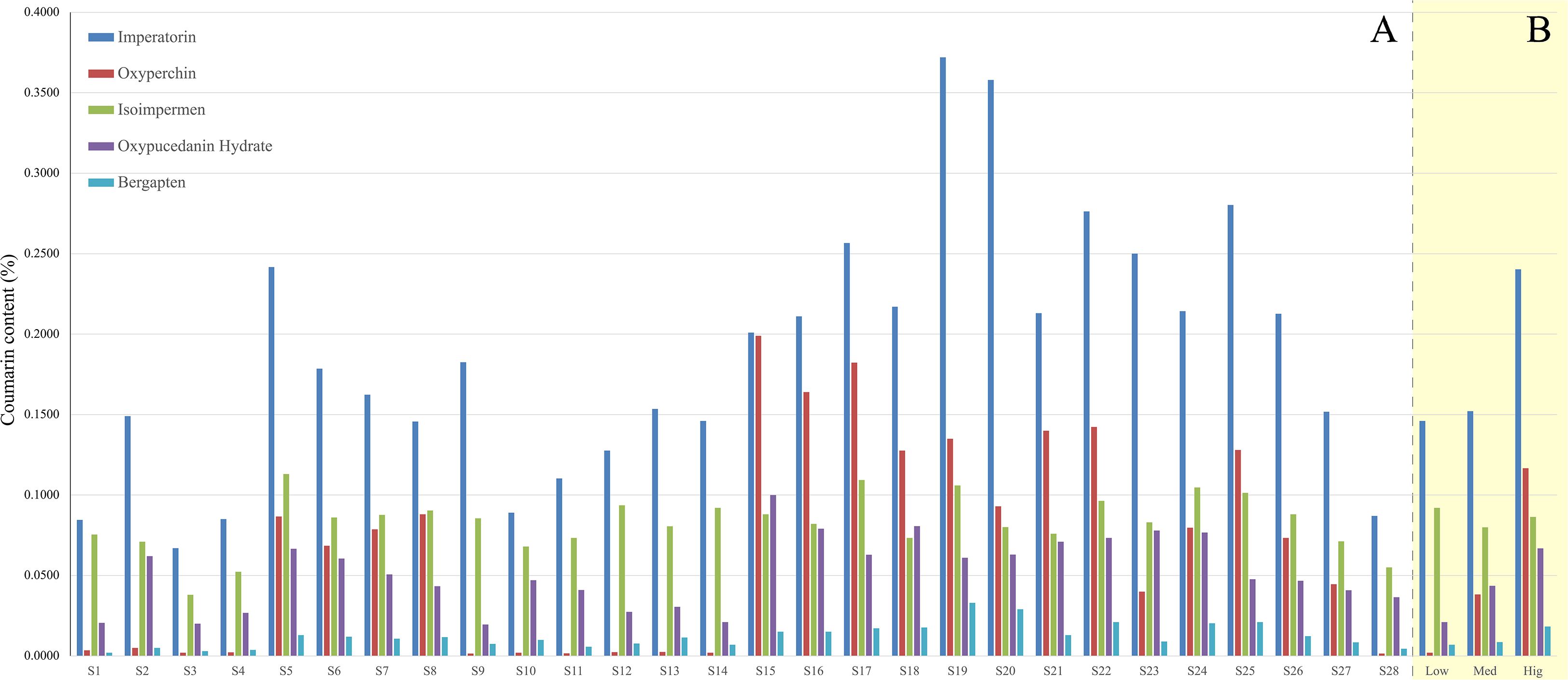 Bar chart showing coumarin content percentages for various samples (S1 to S28) and three conditions (Low, Med, Hig). Compounds include Imperatorin, Oxyperchin, Isoimpermen, Oxypeucedanin Hydrate, and Bergapten. Imperatorin consistently shows the highest content across samples. Two sections labeled A and B are distinguished, with B highlighted.
