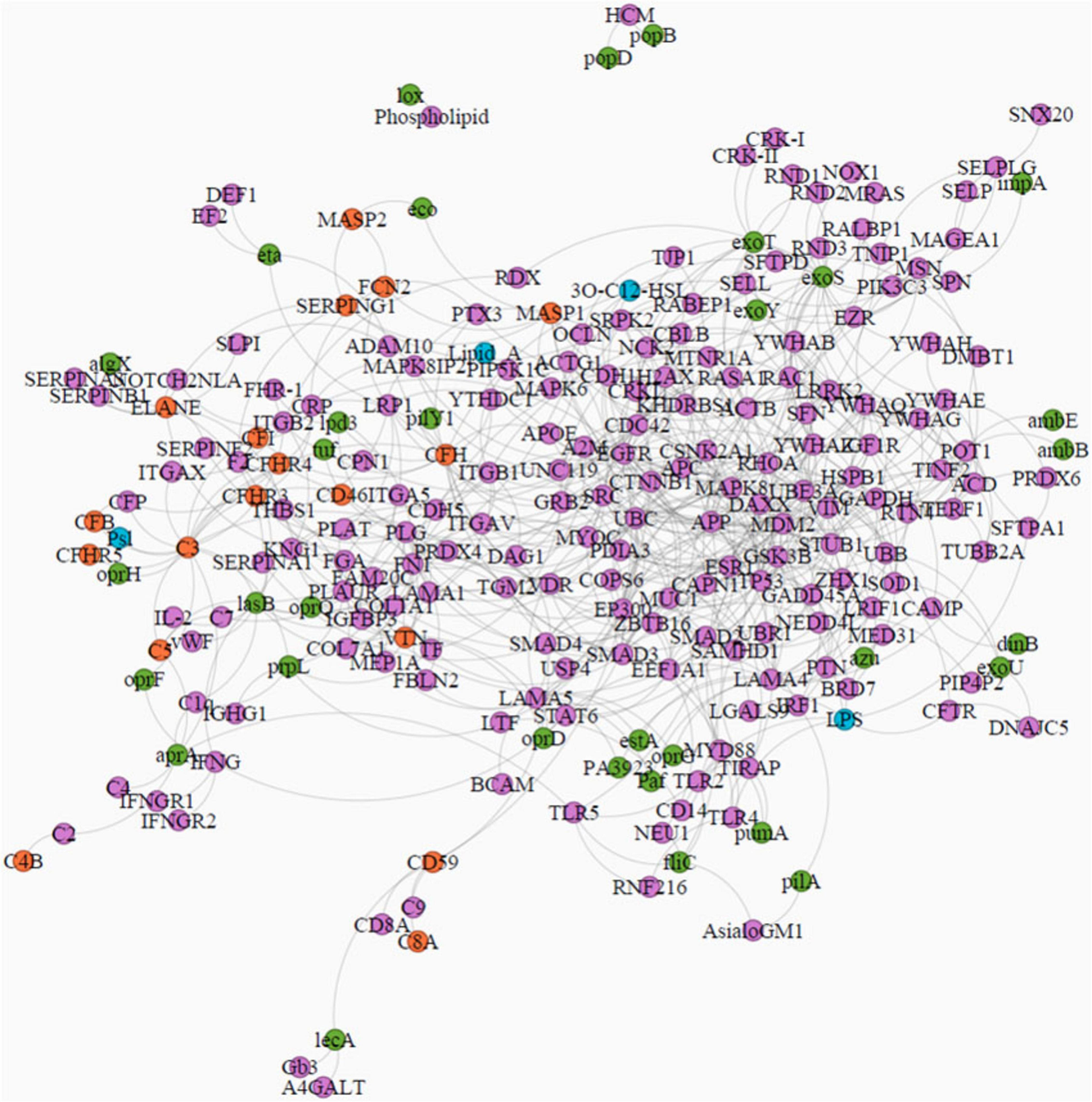 Network diagram displaying complex interactions among various proteins and molecules, represented by labeled nodes in different colors such as purple, green, orange, and blue. Lines connect nodes, indicating interactions or relationships in the network.