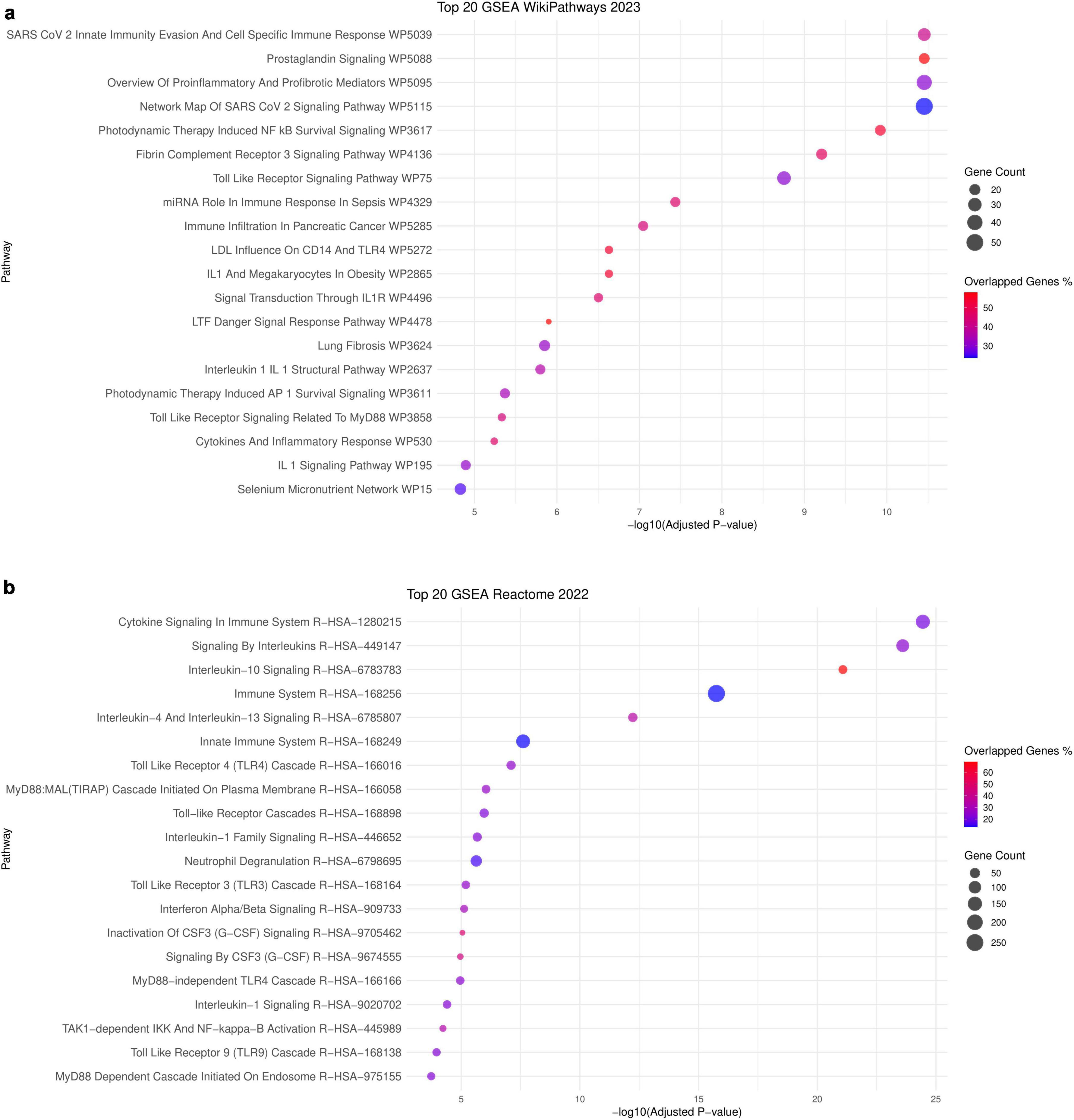 Scatterplots show the top twenty GSEA pathways for WikiPathways 2023 and Reactome 2022. Each plot displays pathways against -log10 adjusted P-values. Dot size represents gene counts, while color indicates the percentage of overlapped genes. Larger dots and warmer colors correlate with higher counts and percentages, respectively.
