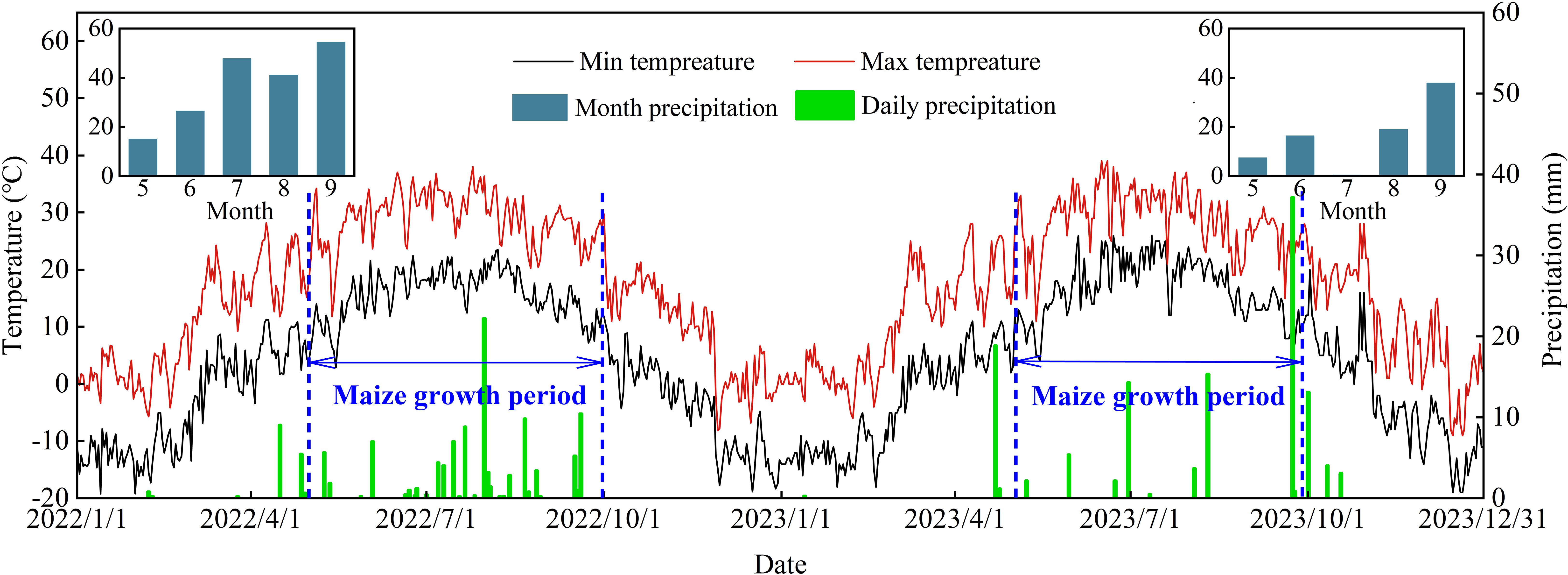 Graph depicting temperature and precipitation data from January 2022 to December 2023. The red line represents maximum temperature, the black line minimum temperature, and green bars daily precipitation. Blue arrows indicate maize growth periods. Insets show monthly precipitation from May to September.