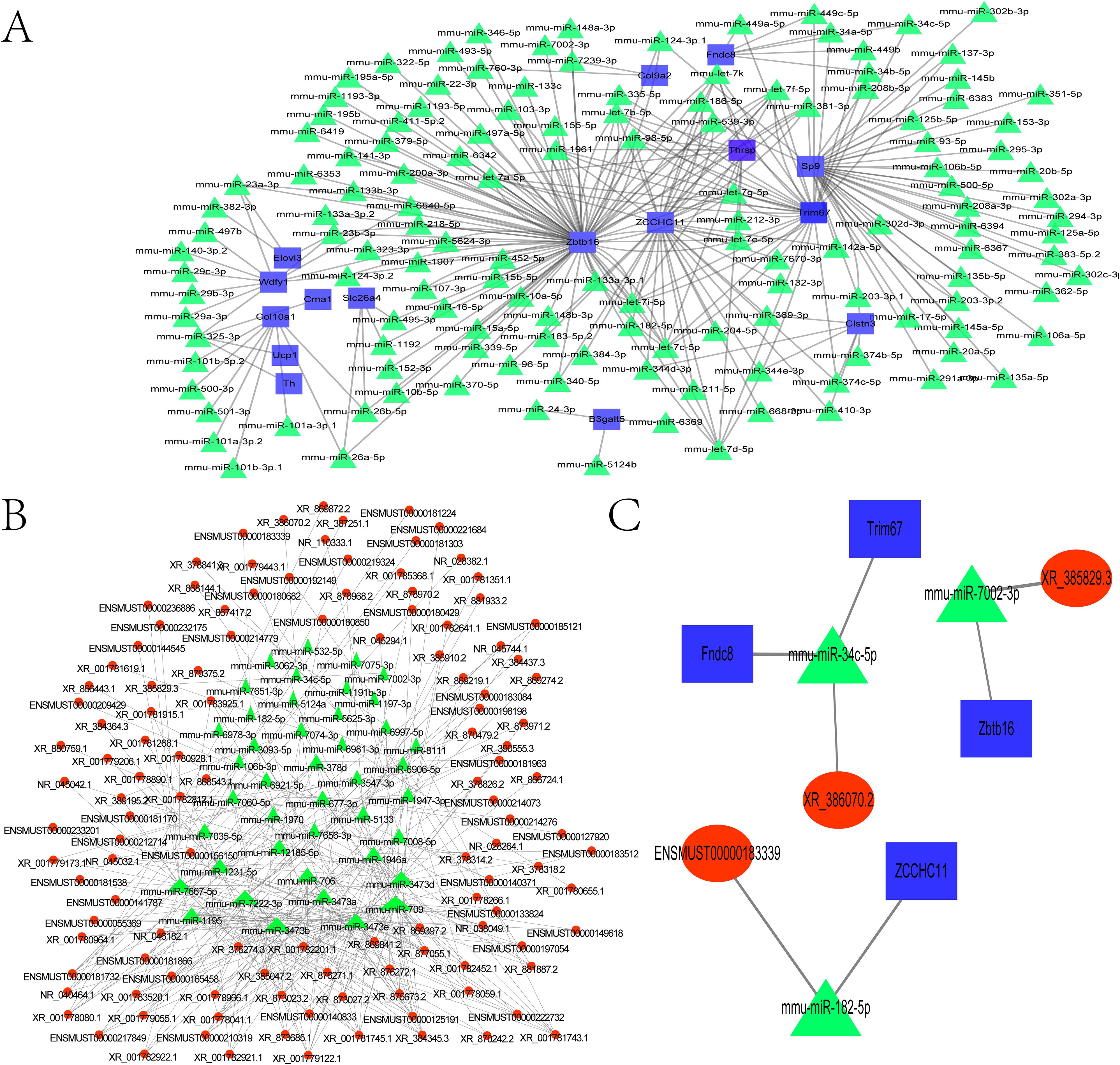 A network diagram consisting of three panels labeled A, B, and C. Panel A shows a complex network with blue squares and green triangles connected by gray lines, indicating interactions. Panel B displays a denser network with red circles, green triangles, and numerous intersecting lines. Panel C illustrates a simpler network with a few blue squares, green triangles, and red circles, suggesting specific interactions.