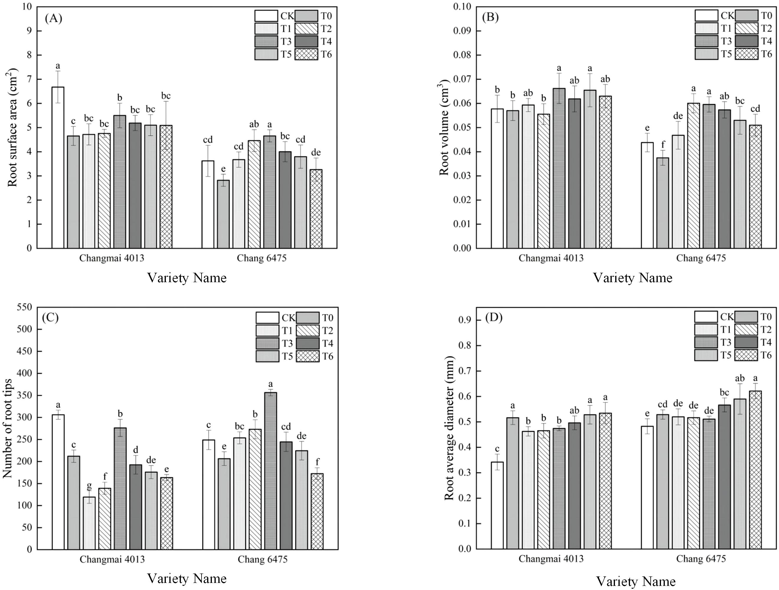 Four bar graphs labeled A, B, C, and D compare root characteristics of Changmai 4013 and Chang 6475 under different treatments (CK, T0 to T6). Graph A shows root surface area, B shows root volume, C shows the number of root tips, and D shows root average diameter. Each bar is marked with letters indicating statistical significance, with a legend detailing the treatment codes.