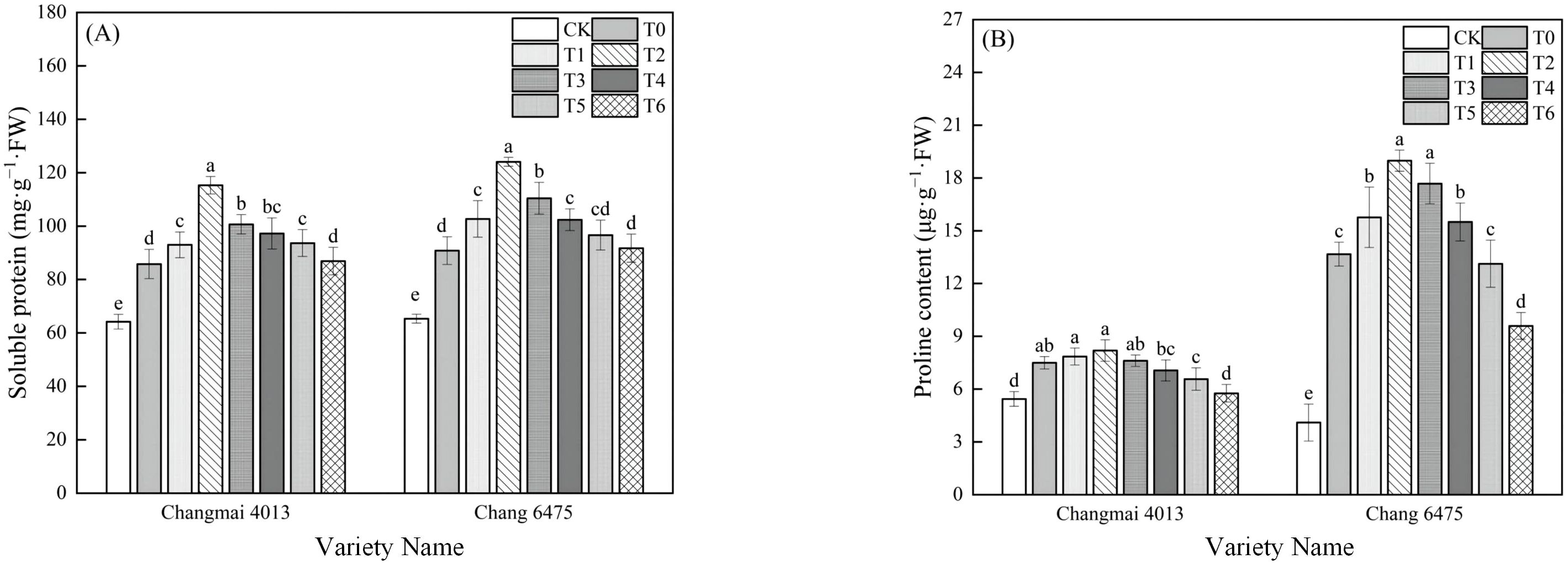 Panel A shows a bar chart of soluble protein content in mg per g fresh weight for Changmai 4013 and Chang 6475 across various treatments (CK, T0, T1, T2, T3, T4, T5, T6). Panel B displays proline content in micrograms per g fresh weight for the same varieties and treatments. Each bar represents a different treatment, with letters indicating statistical differences.