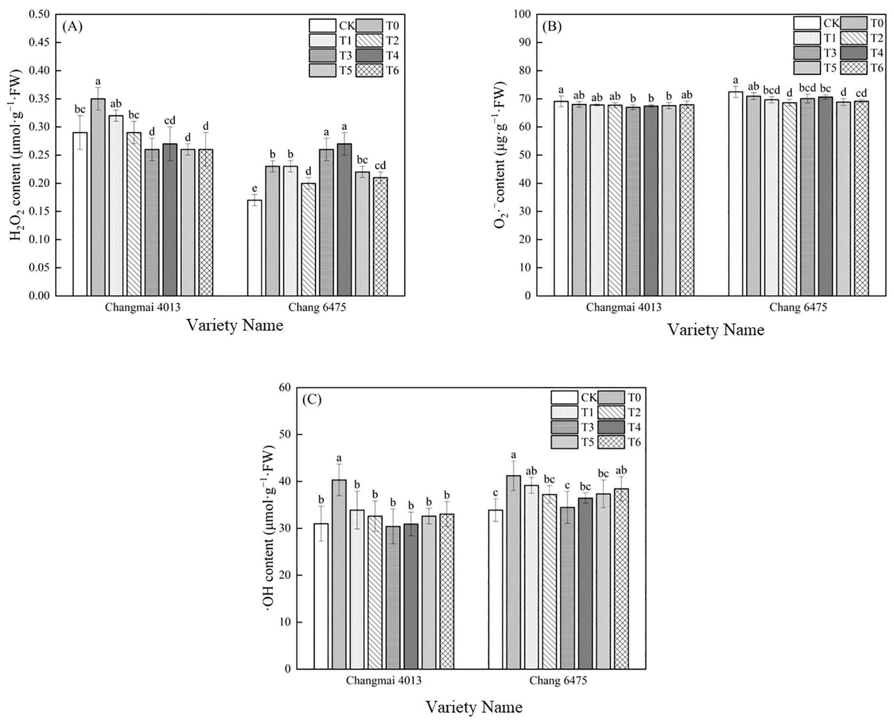 Three bar graphs labeled A, B, and C display different treatments' effects on chemical content in Changmai 4013 and Chang 6475. Graph A shows H₂O₂ content, Graph B shows O₂⁻ content, and Graph C shows OH content. Each graph compares various treatments (CK, T0, T1, T2, T3, T4, T5, T6) with bars labeled a to e indicating statistical differences. Each graph uses a legend to differentiate treatments.
