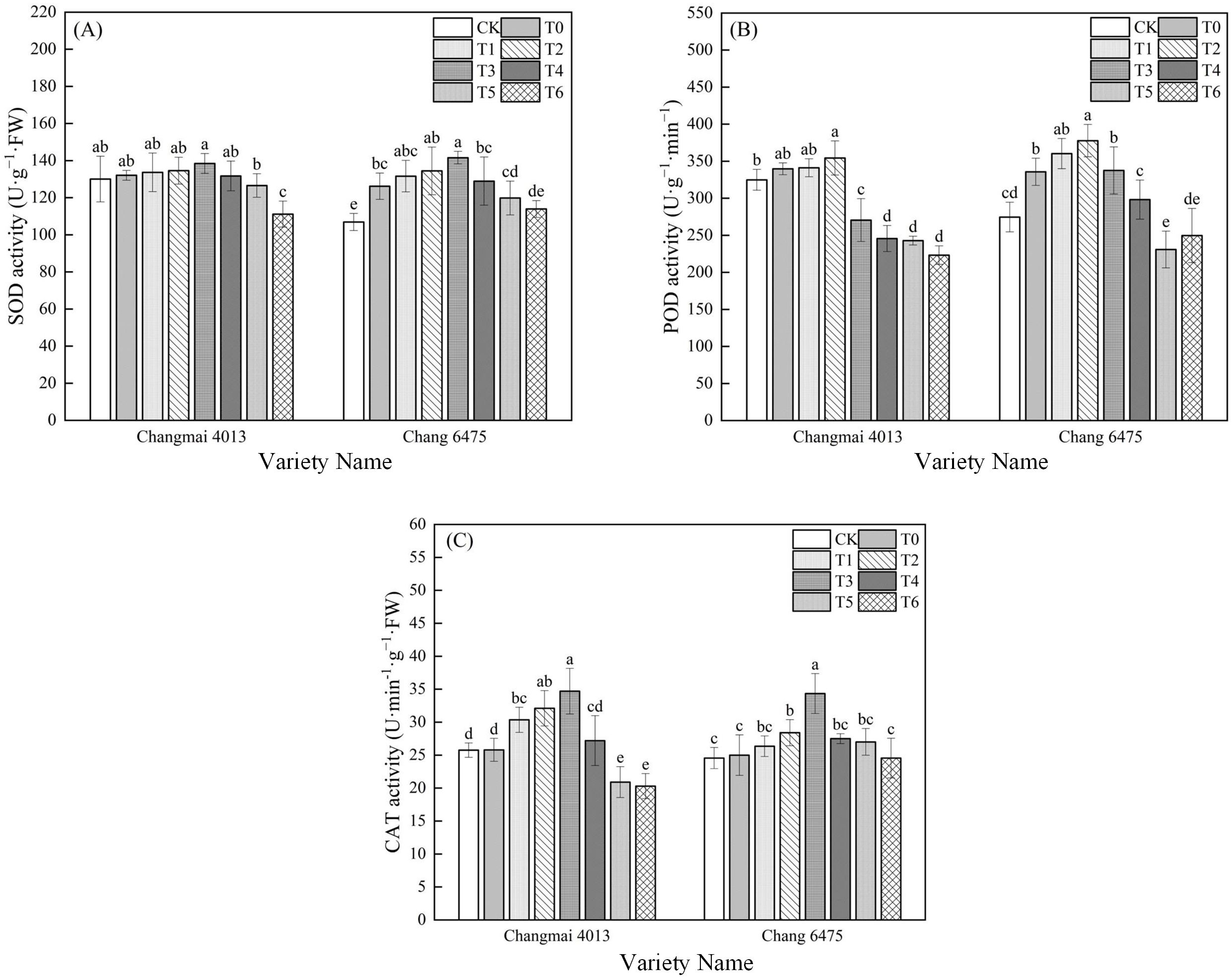Three bar graphs displaying enzyme activity for two types of sample groups, Changmai 4013 and Chang 6475. Graph (A) shows SOD activity with values ranging between 120 and 200 units. Graph (B) presents POD activity ranging from 250 to 450 units. Graph (C) illustrates CAT activity with values from 20 to 50 units. Each graph includes bars for treatments CK, T0, T1, T2, T3, T4, T5, and T6, differentiated by patterns. Statistical significance is denoted by letters above the bars.