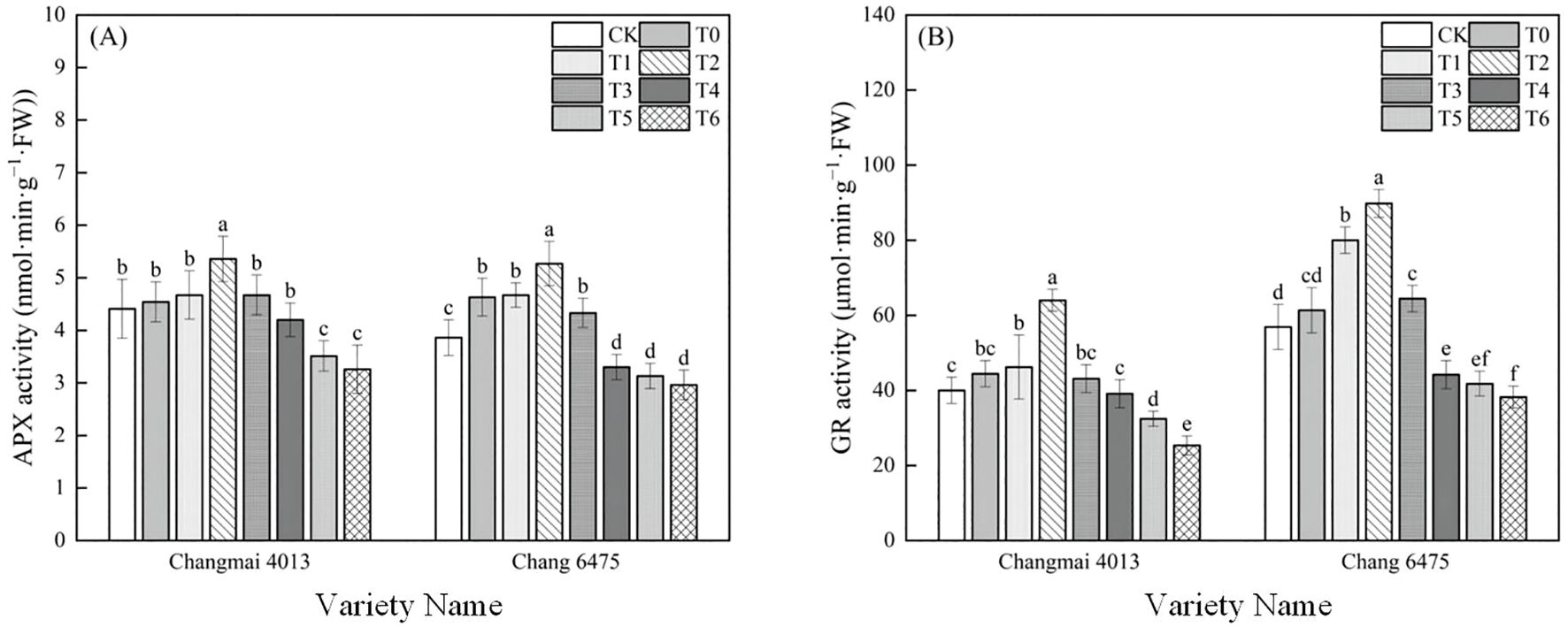 Bar charts comparing APX activity (A) and GR activity (B) in Changmai 4013 and Chang 6475. Each chart displays activities across seven treatments (CK, T0-T6) with distinct bar patterns. APX activity ranges from 3 to 6 nmol per minute per gram fresh weight, and GR activity ranges from 20 to 120 µmol per minute per gram fresh weight. Error bars denote variability, with significant differences marked by letters.