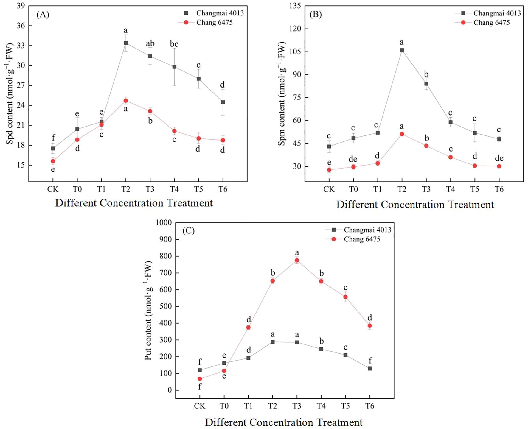 Polyamine profiles: (A) Spermidine (Spd), (B) Spermine (Spm), (C) Putrescine (Put) in nmol·g−1 FW. Treatments (CK-T6) on X-axis; Y-axis shows concentration; dashed lines connect time points; asterisks mark significant differences between varieties at each treatment.